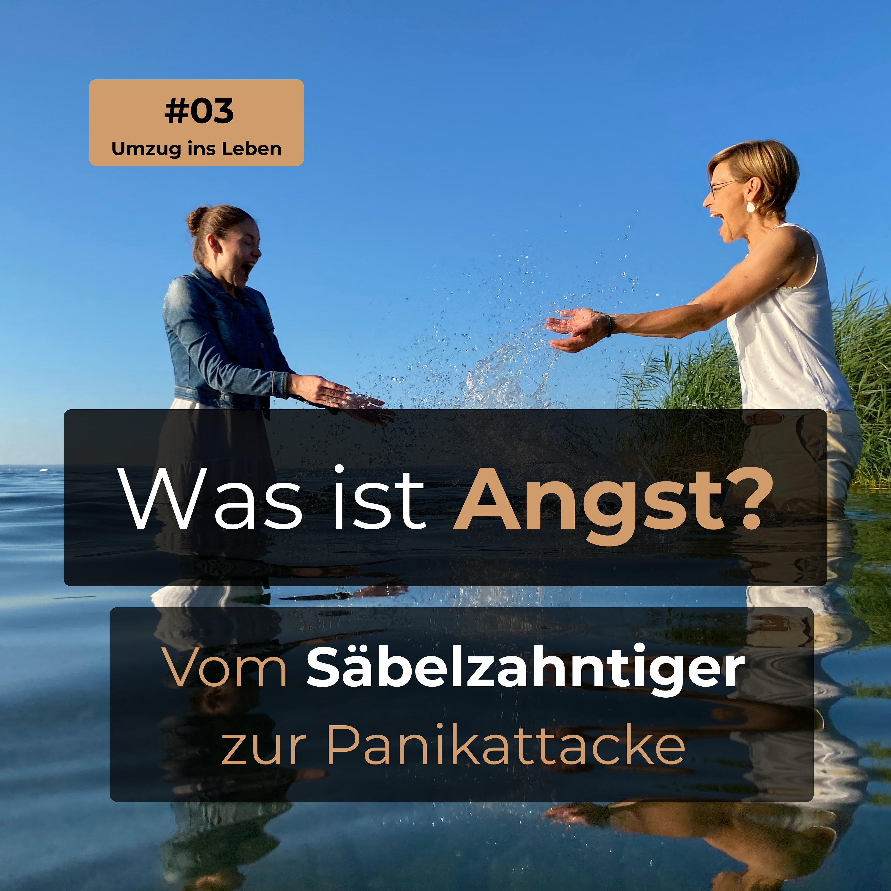 #03 Was ist eigentlich Angst, Vom Säbelzahntiger zur Panikattacke episode artwork