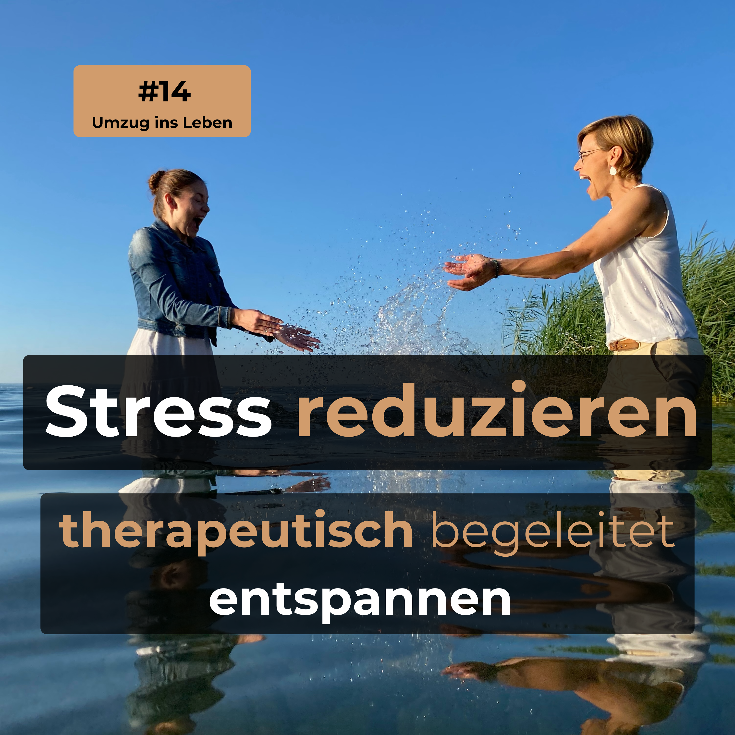#14 Stress reduzieren - therapeutisch begleitet entspannen episode artwork