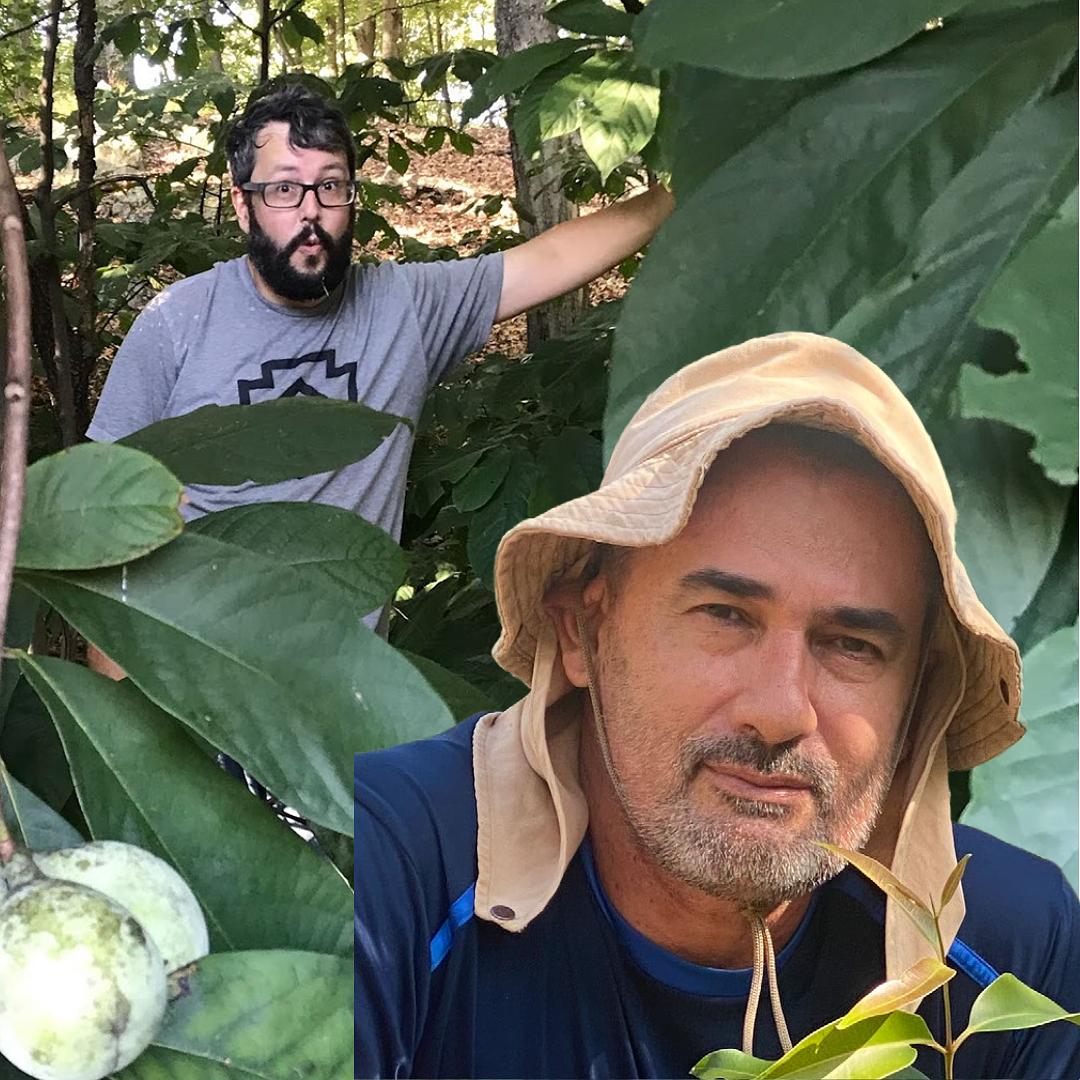 Living Farms: Biodynamic perspectives worldwide