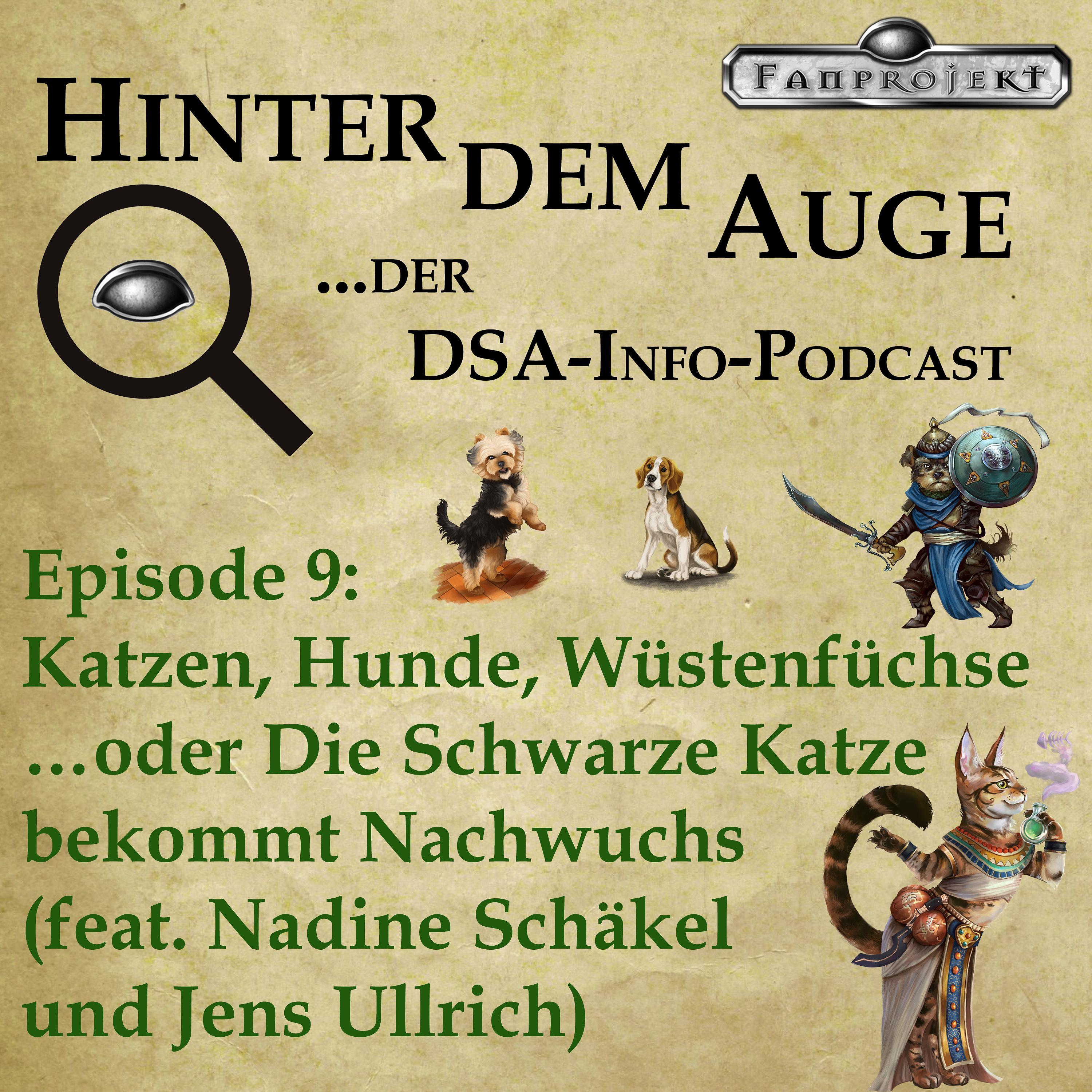 Hinter dem Schwarzen Auge ...das DSA-Fanprojekt
