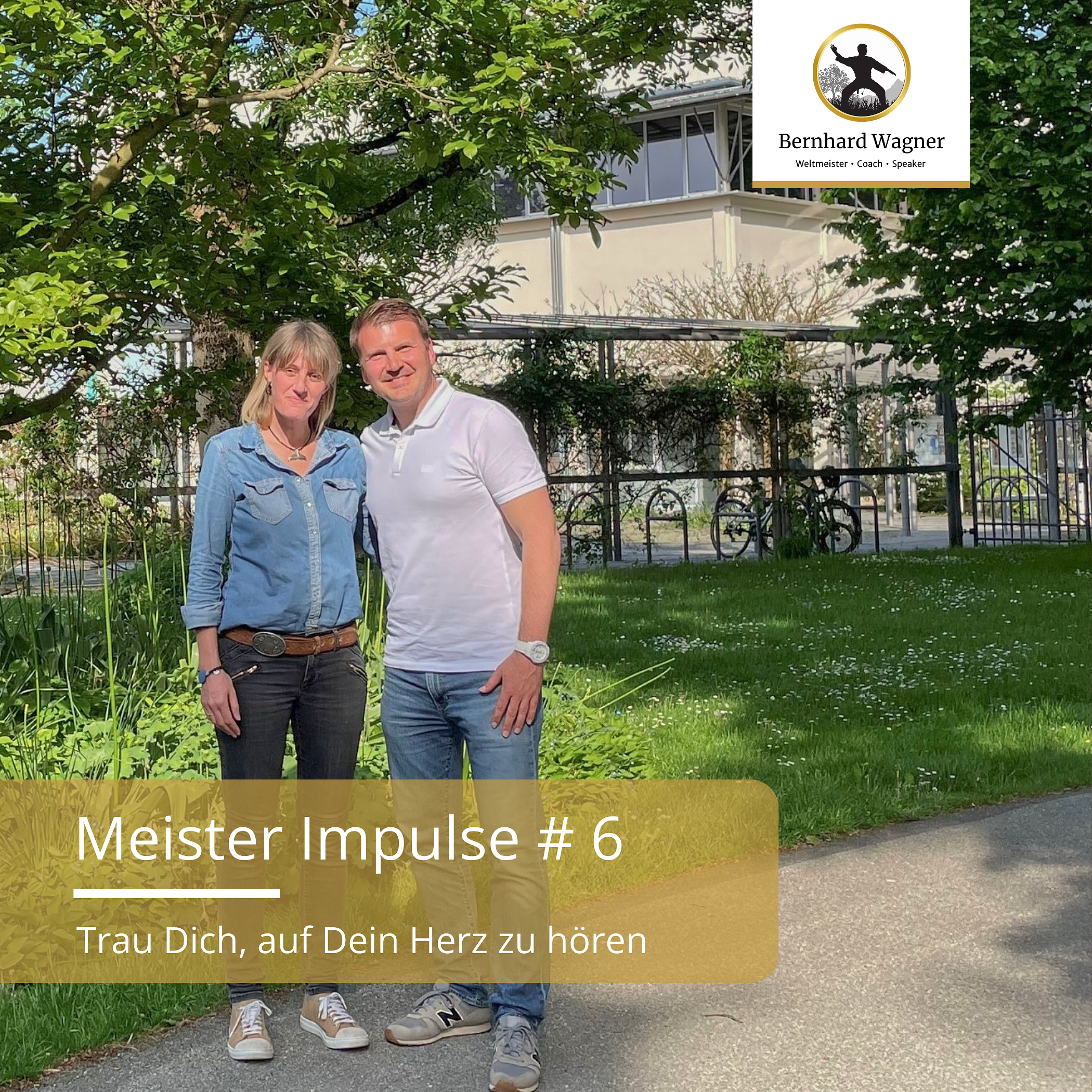 Meister Impulse