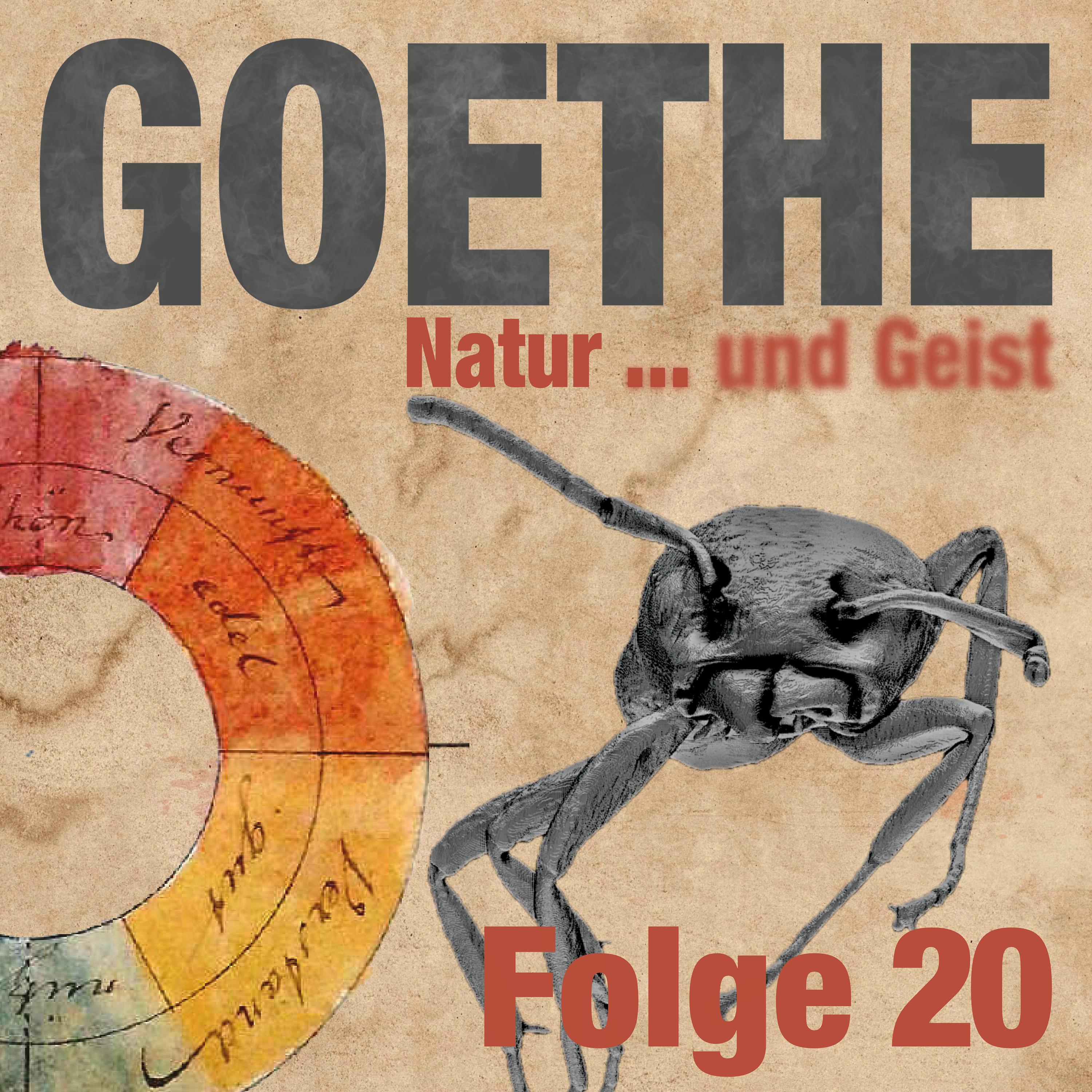 Goethe | Der Podcast
