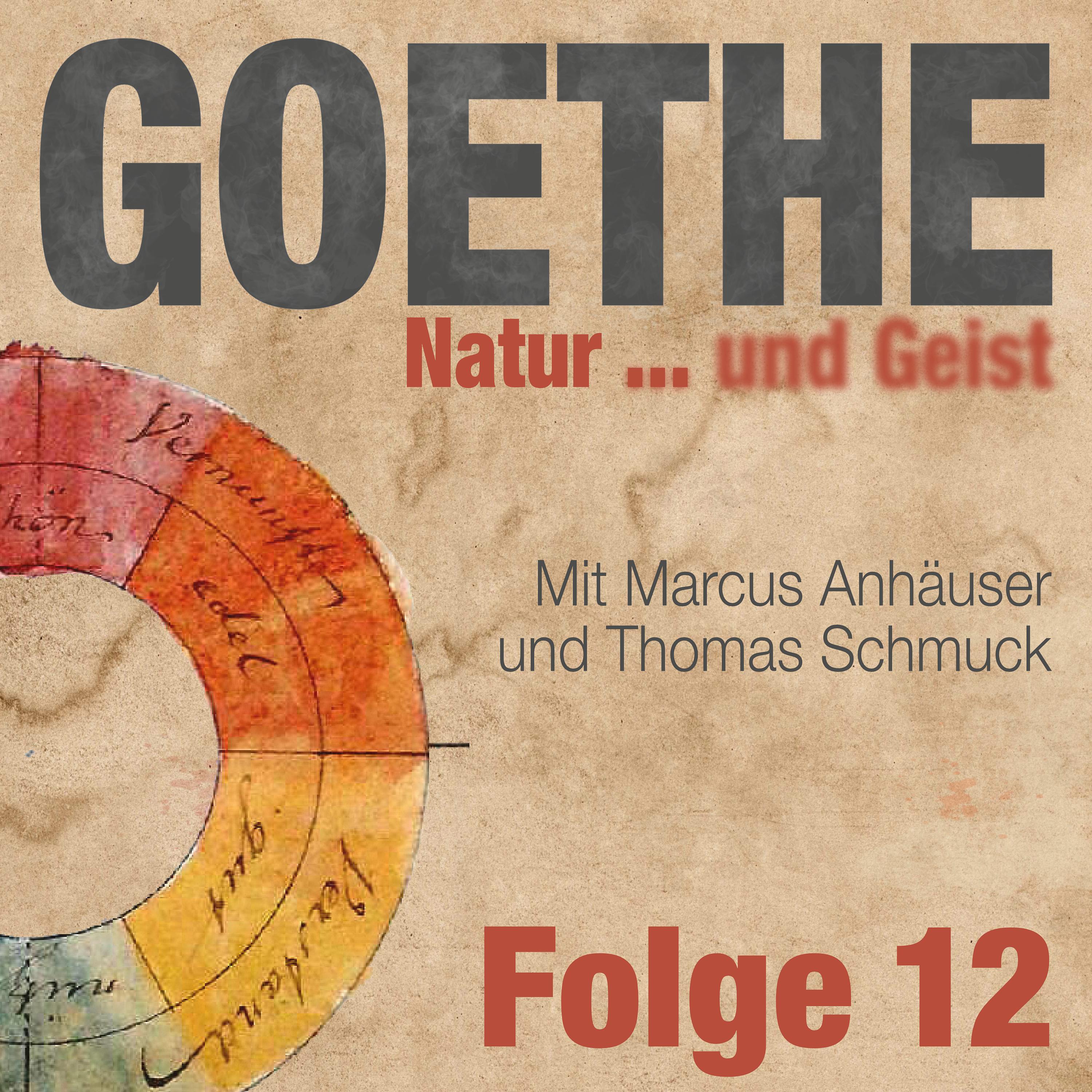 Goethe, das Waldsterben, der Torf und die Kohle