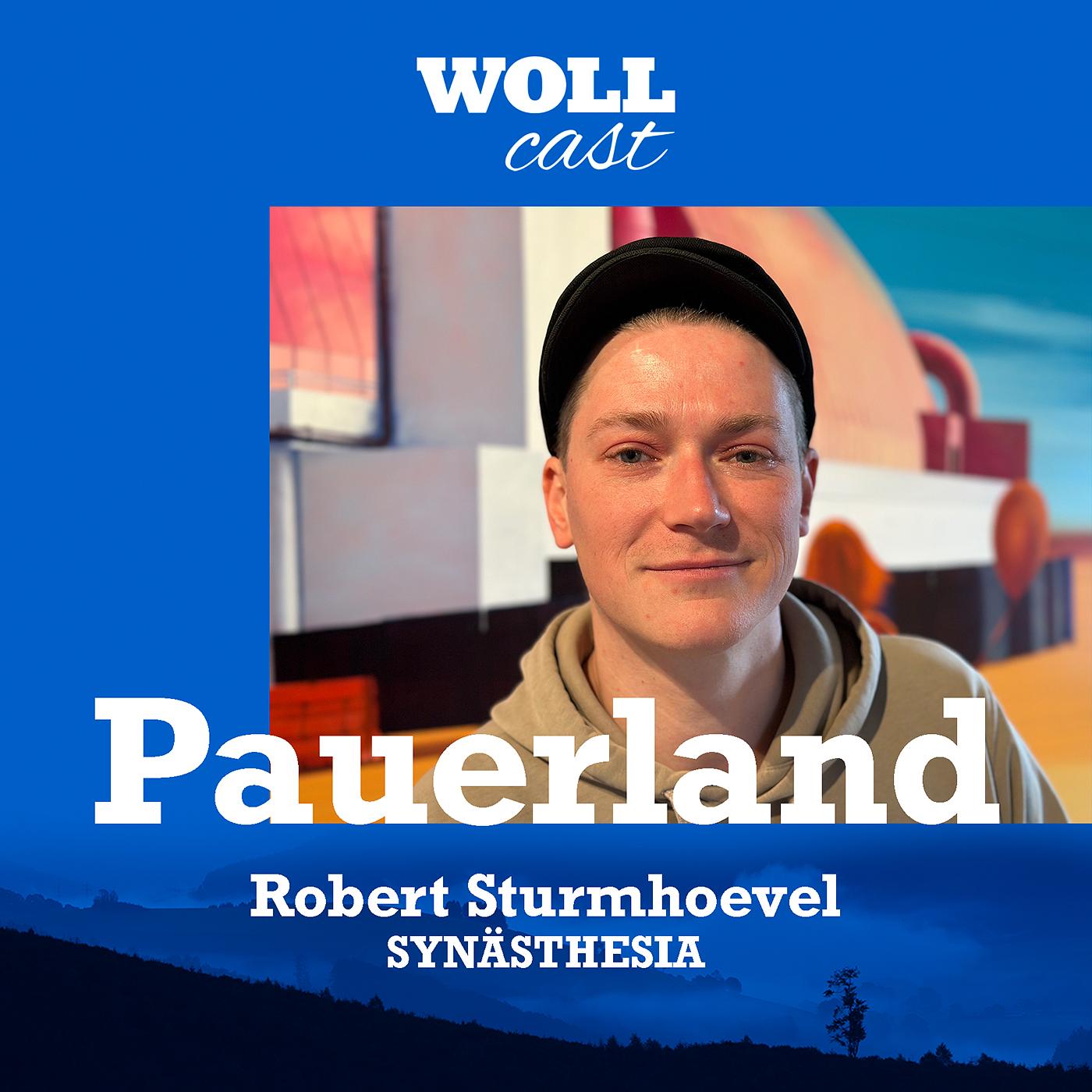 Der Künstler Robert Sturmhövel