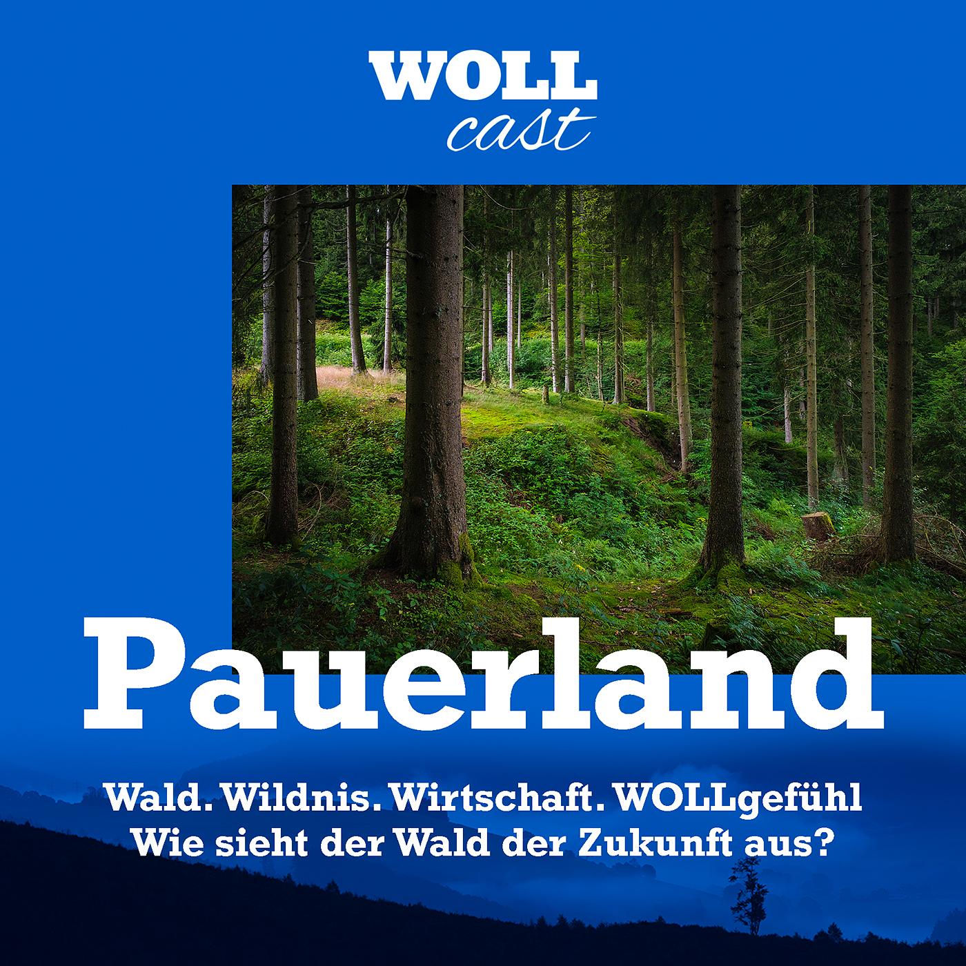 Wald. Wildnis. Wirtschaft. WOLLgefühl. episode artwork