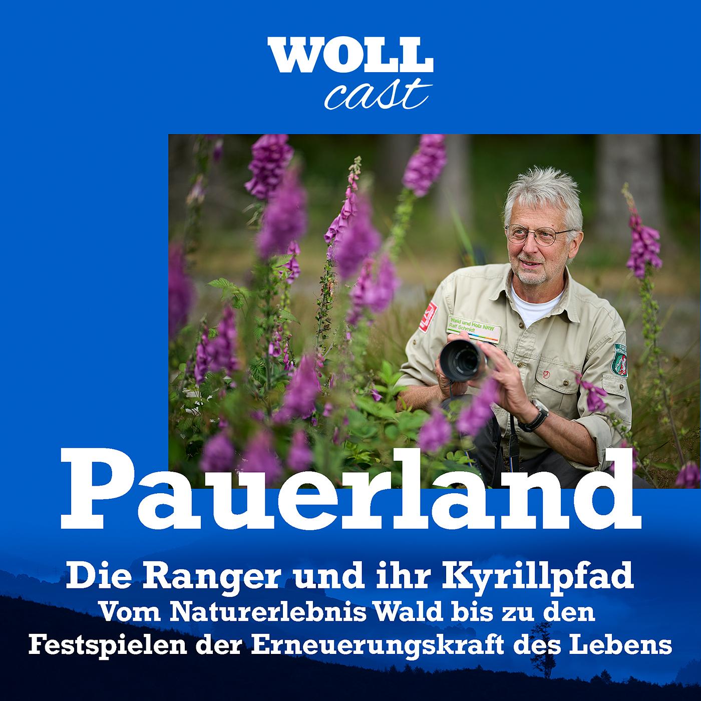 Die Ranger und ihr Kyrillpfad episode artwork