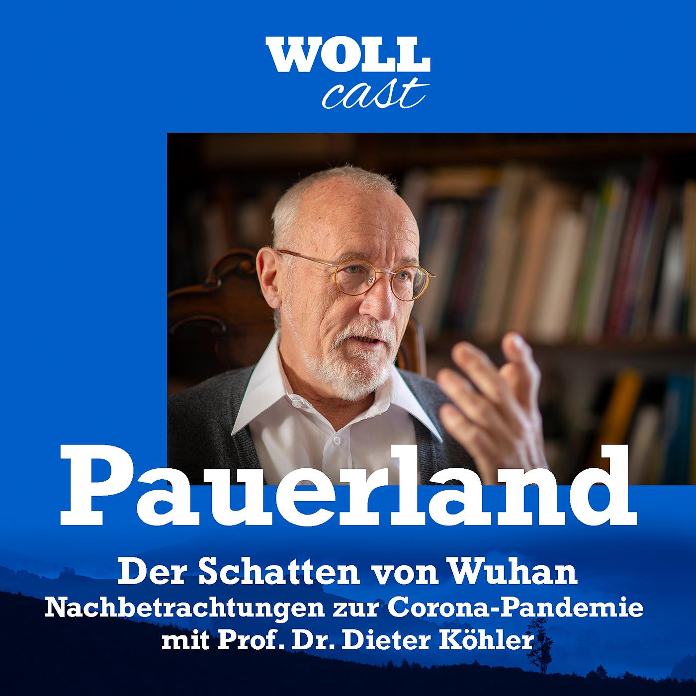 Der Schatten von Wuhan - Nachbetrachtungen zur Corona-Pandemie