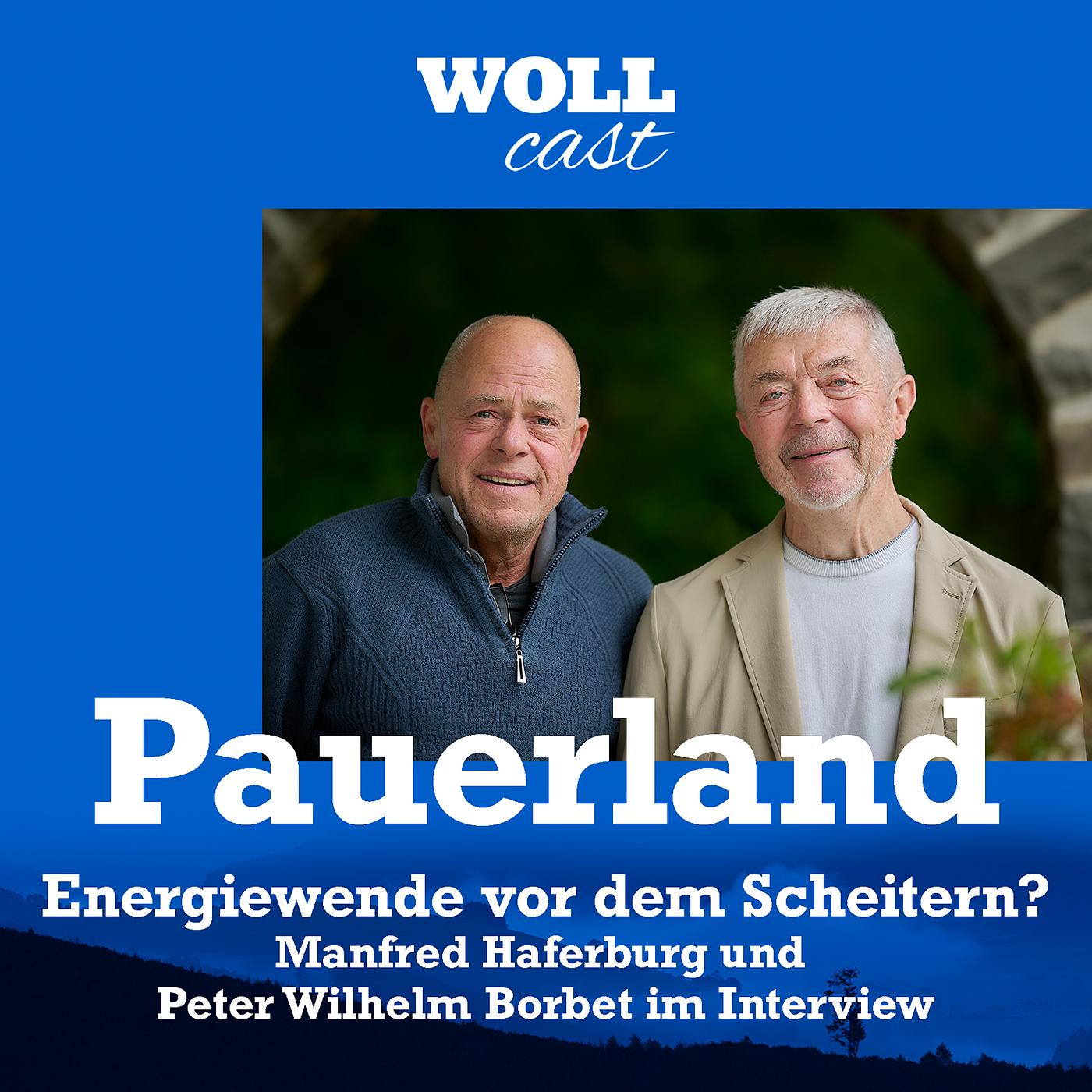 Energiewende vor dem Scheitern? episode artwork
