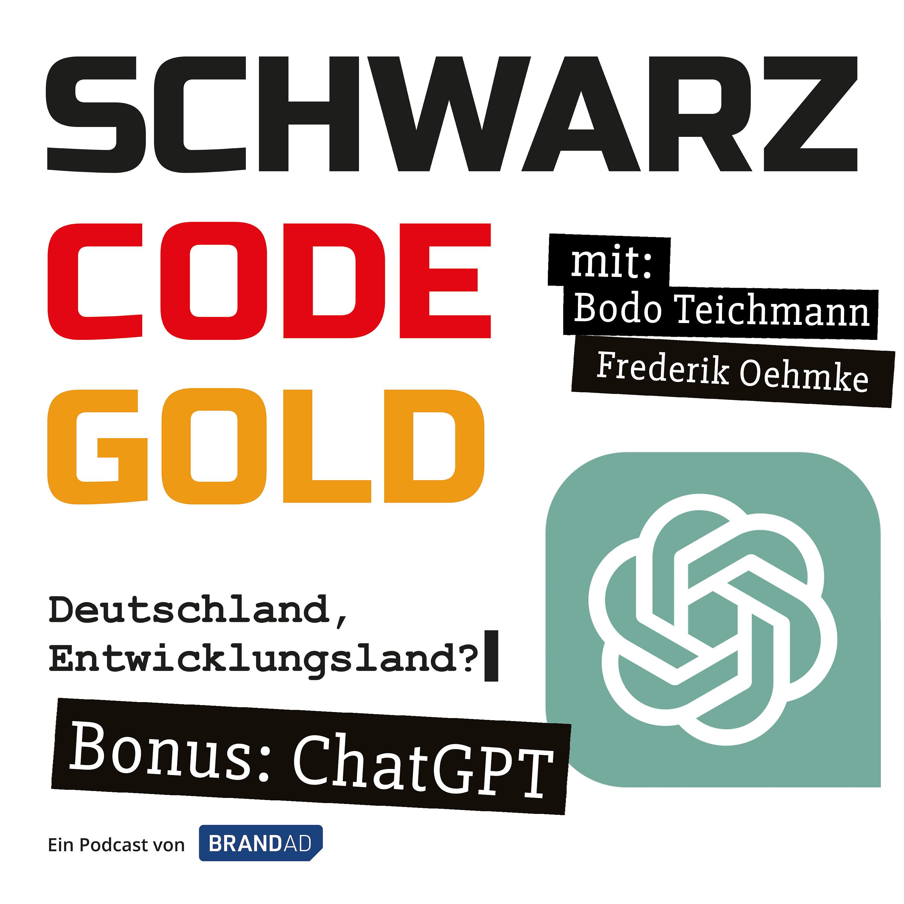 Schwarz, Code, Gold – Deutschland, Entwicklungsland?