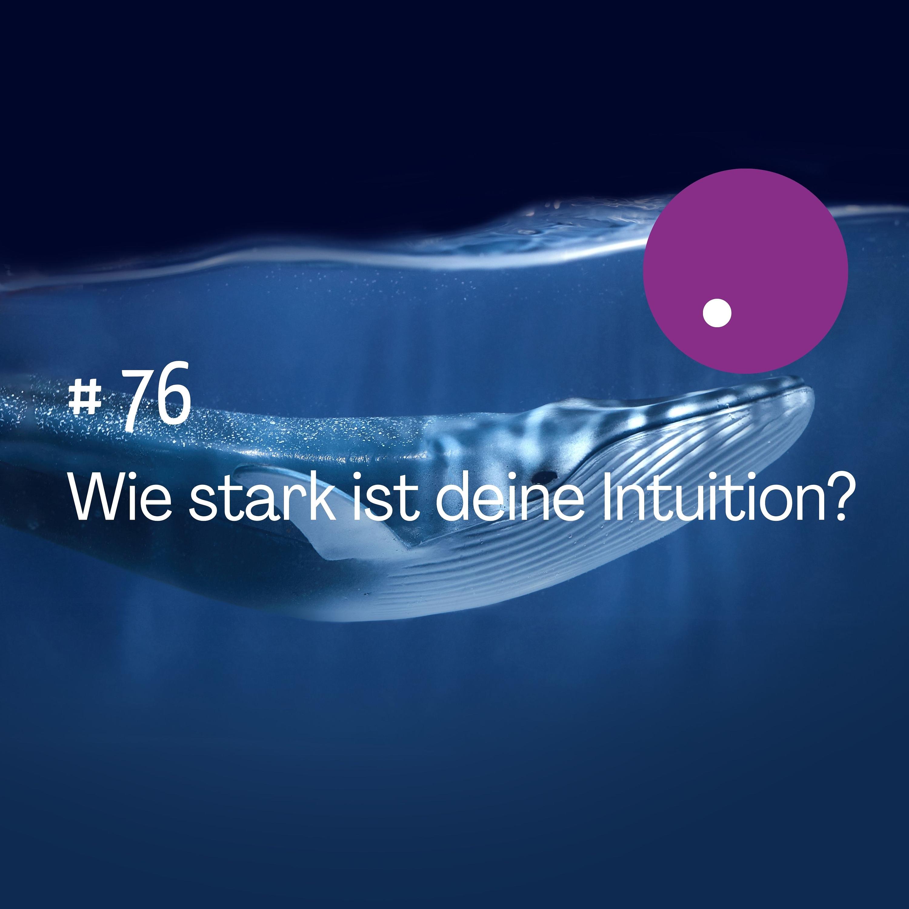 Wie stark ist deine Intuition? episode artwork