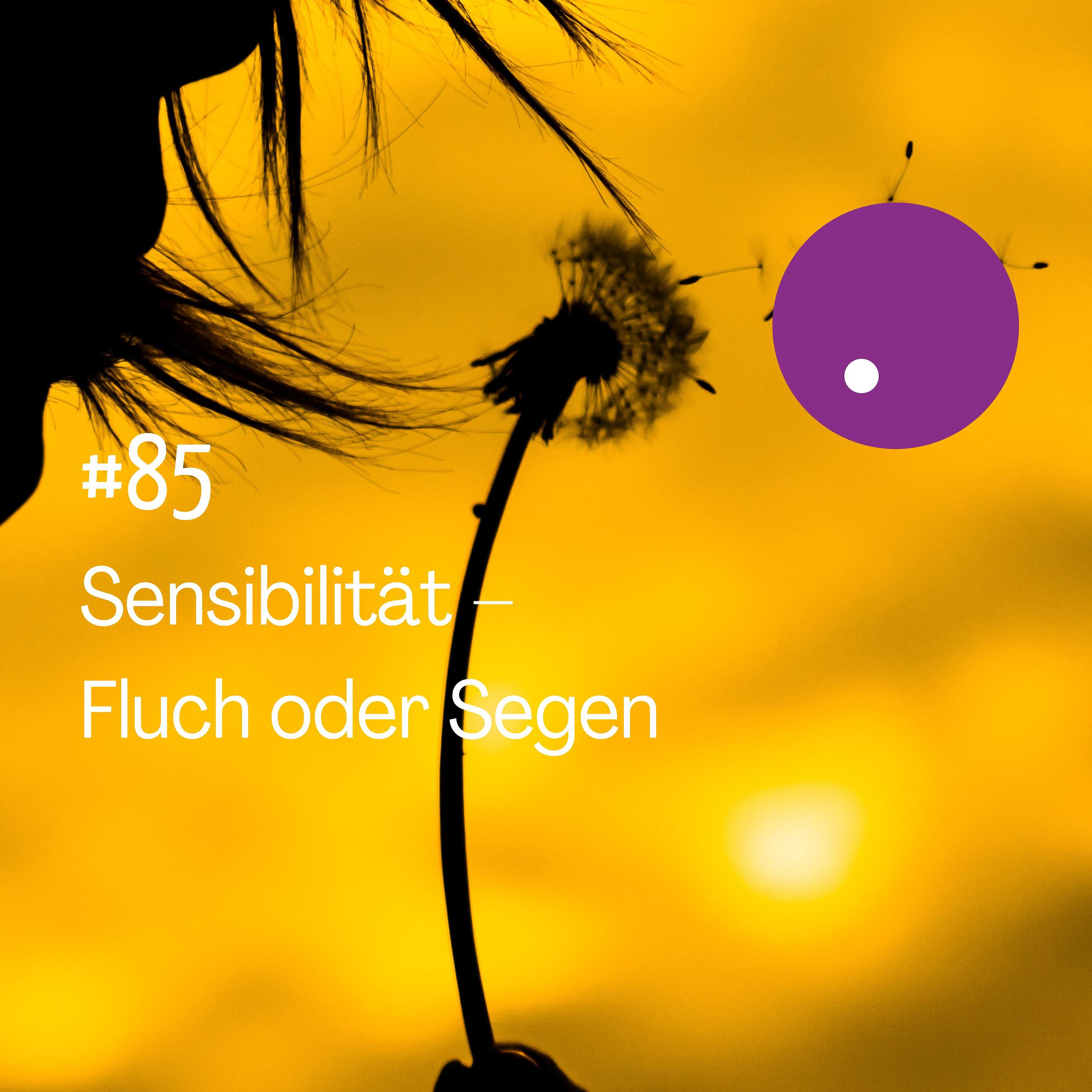 Sensibilität – Fluch oder Segen episode artwork