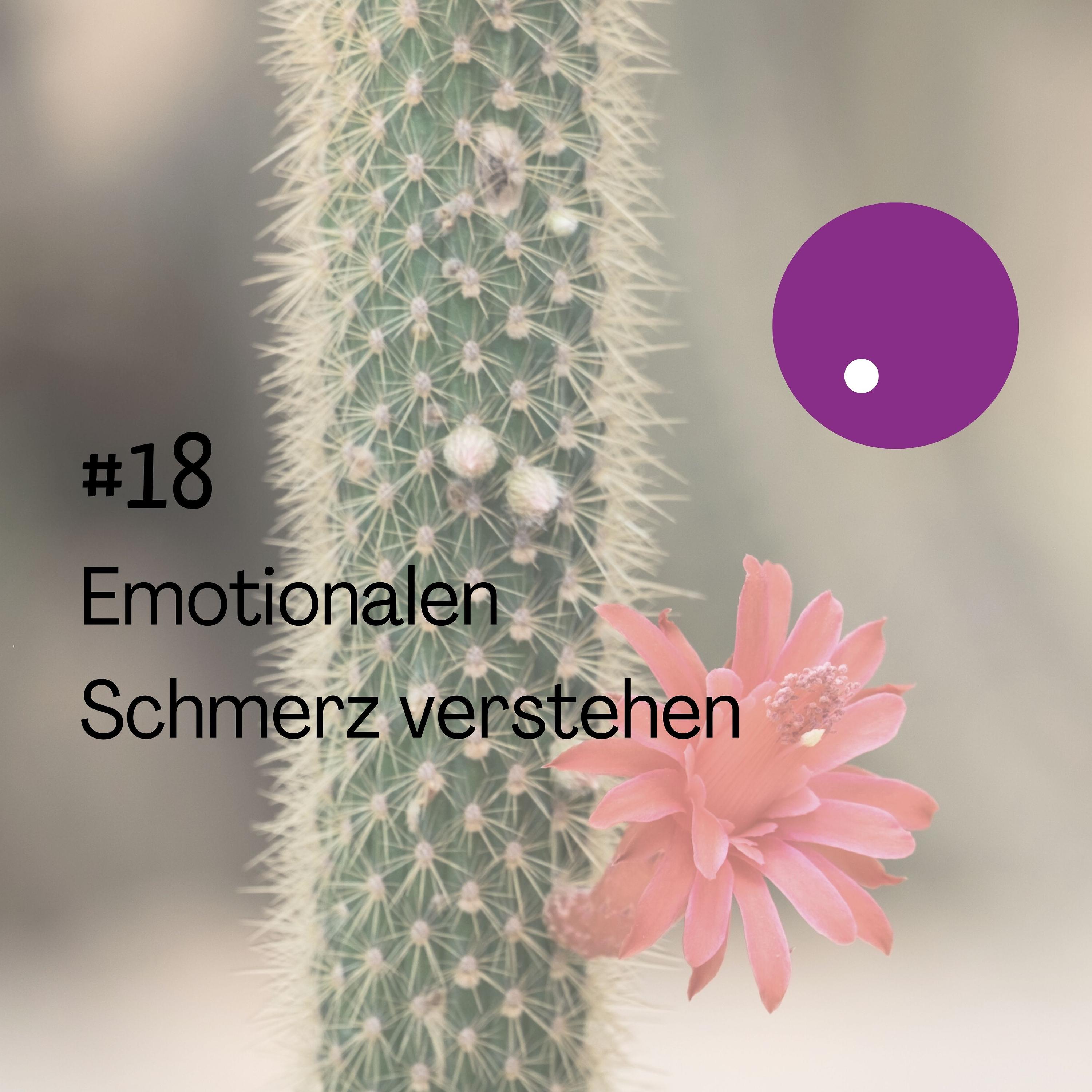 Emotionaler Schmerzen verstehen episode artwork