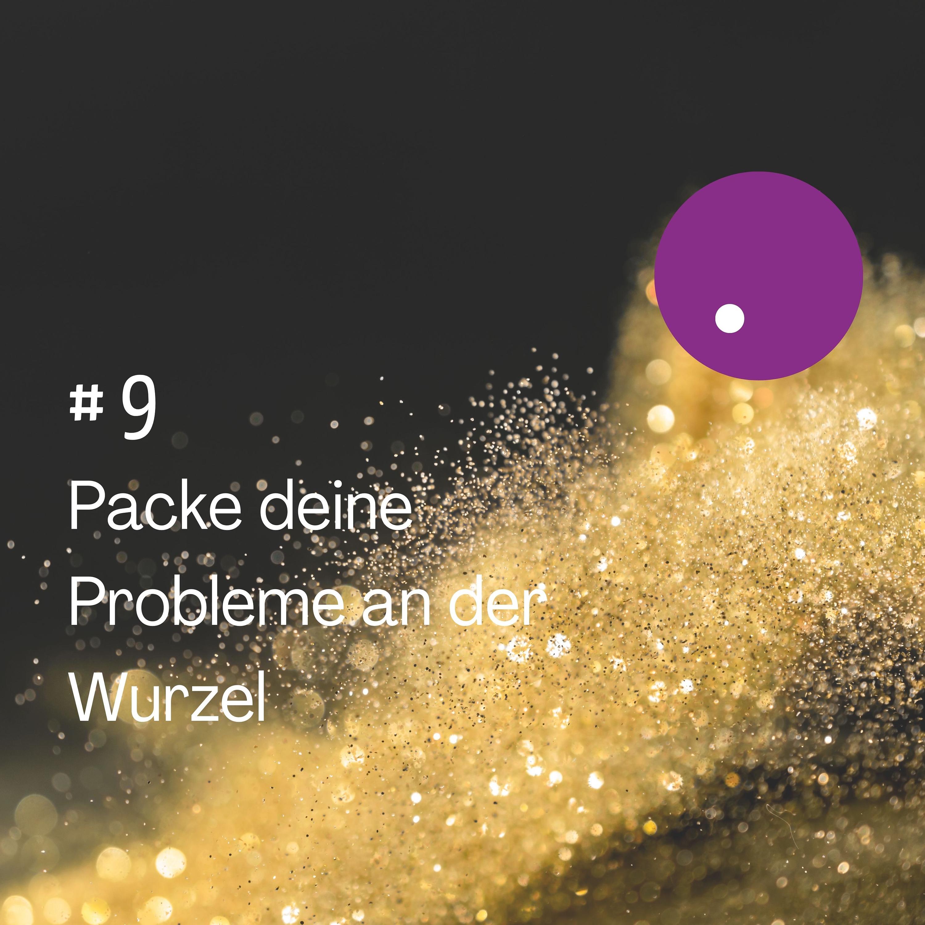 Packe Deine Probleme an der Urwurzel episode artwork