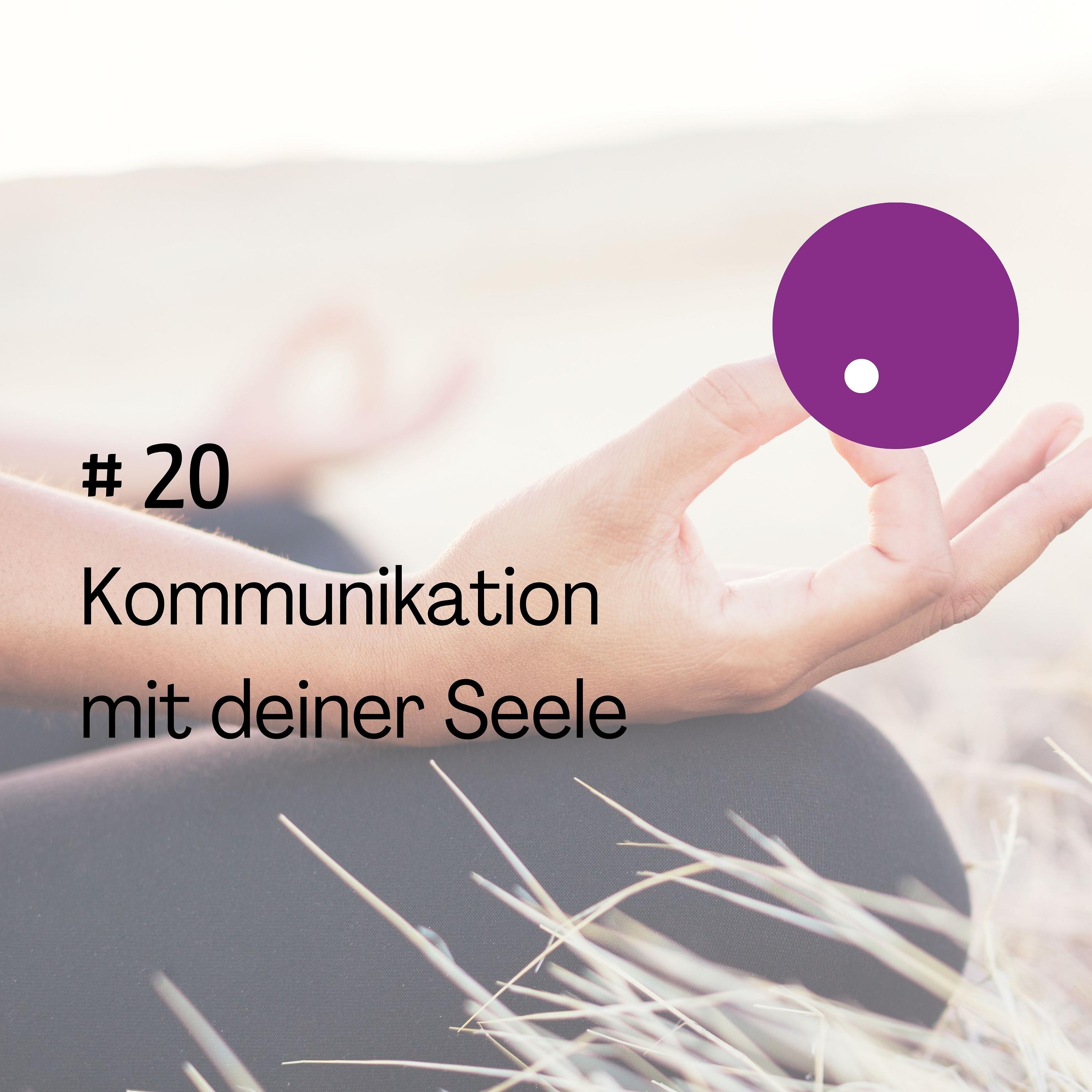 Kommunikation mit der Seele episode artwork