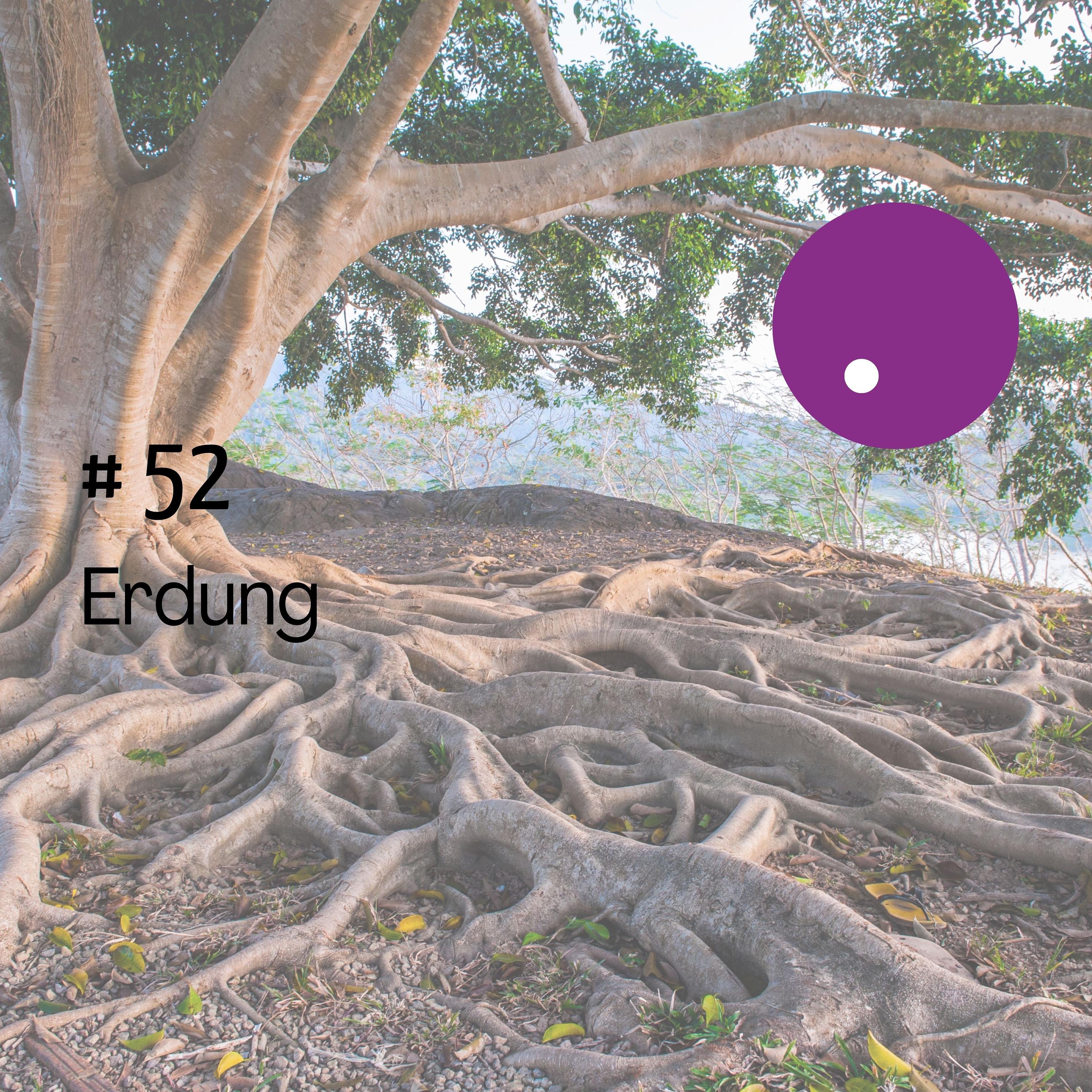 Erdung episode artwork