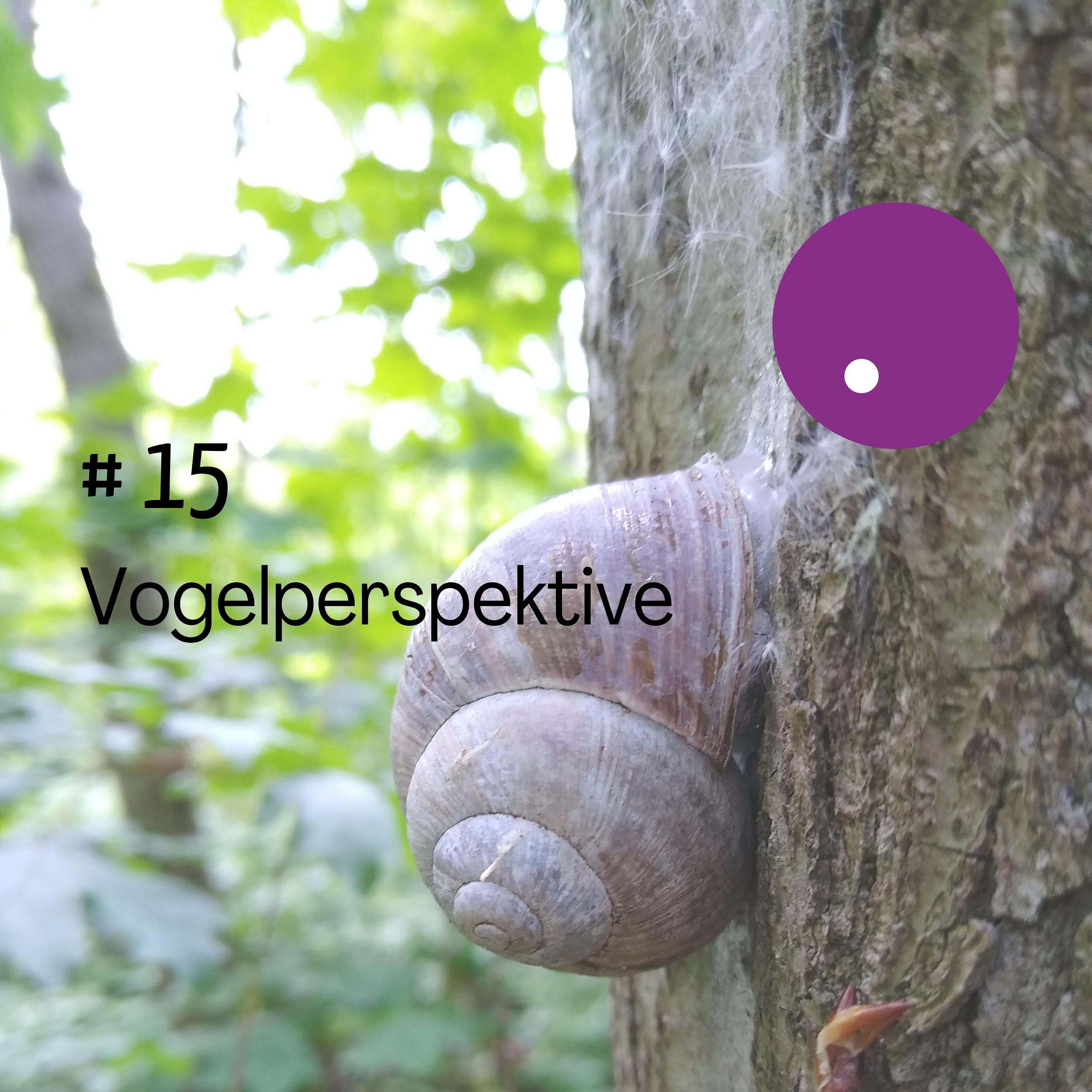 Vogelperspektive episode artwork