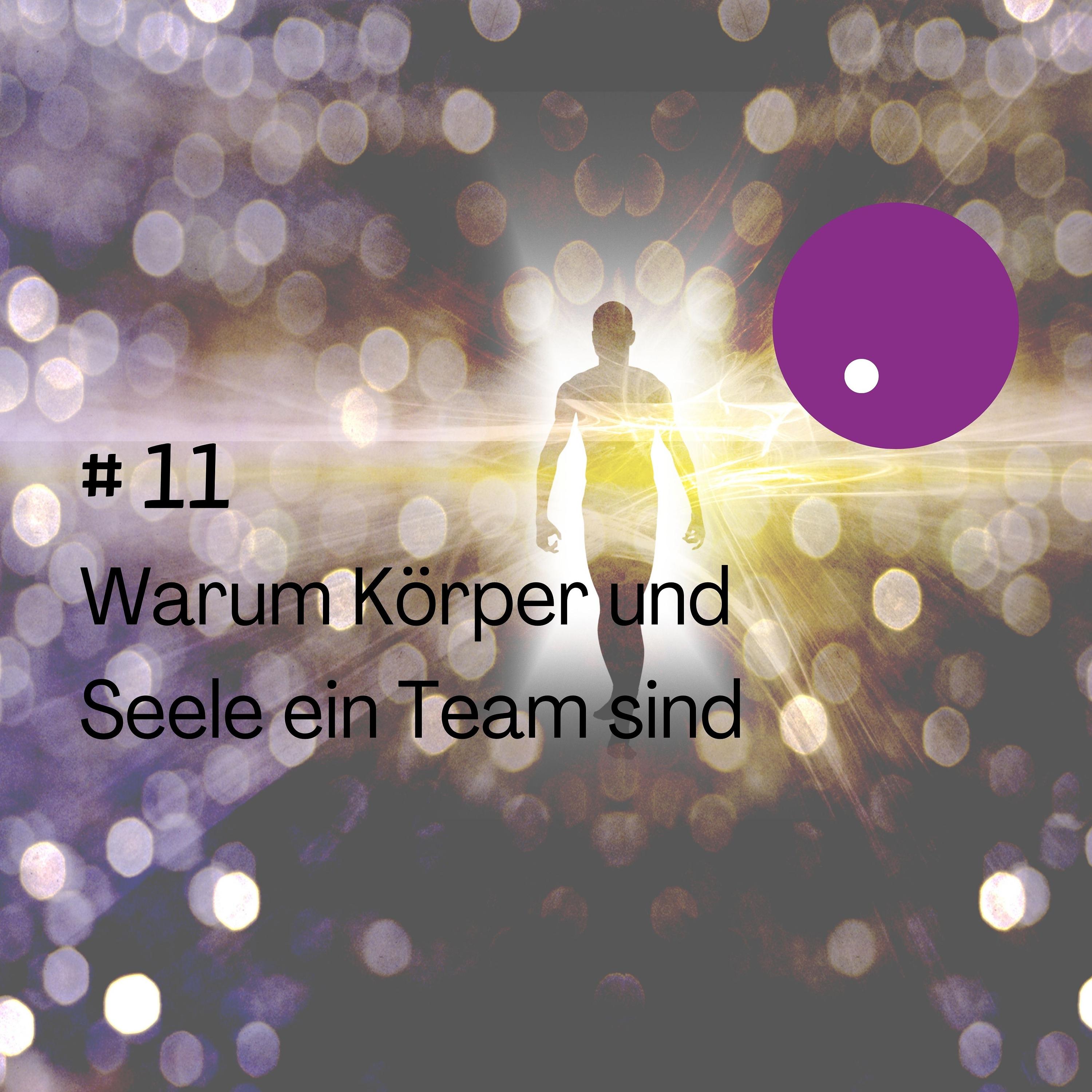 Warum Körper und Seele ein Team sind episode artwork