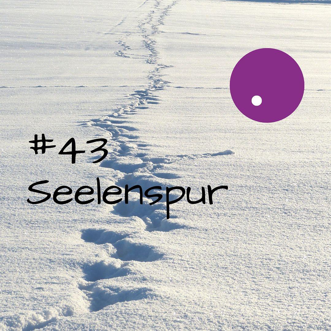Seelenspur episode artwork