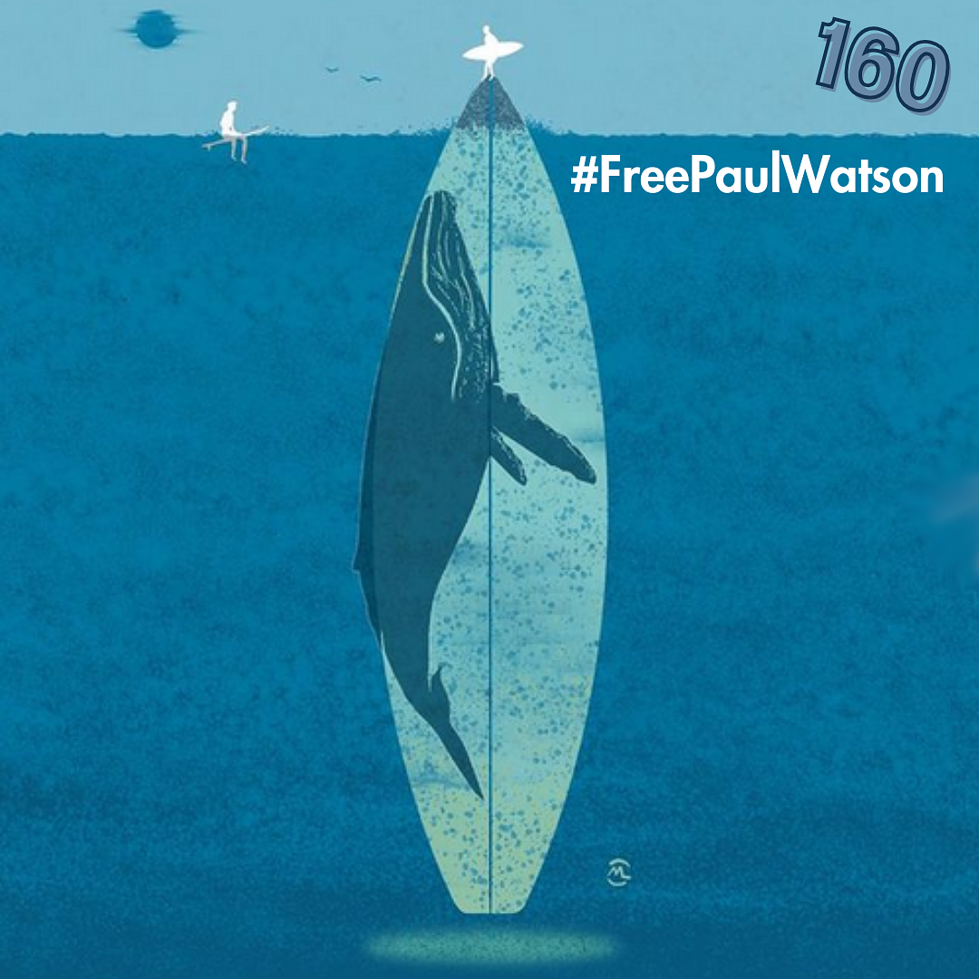 Wellenlänge Surf-Podcast