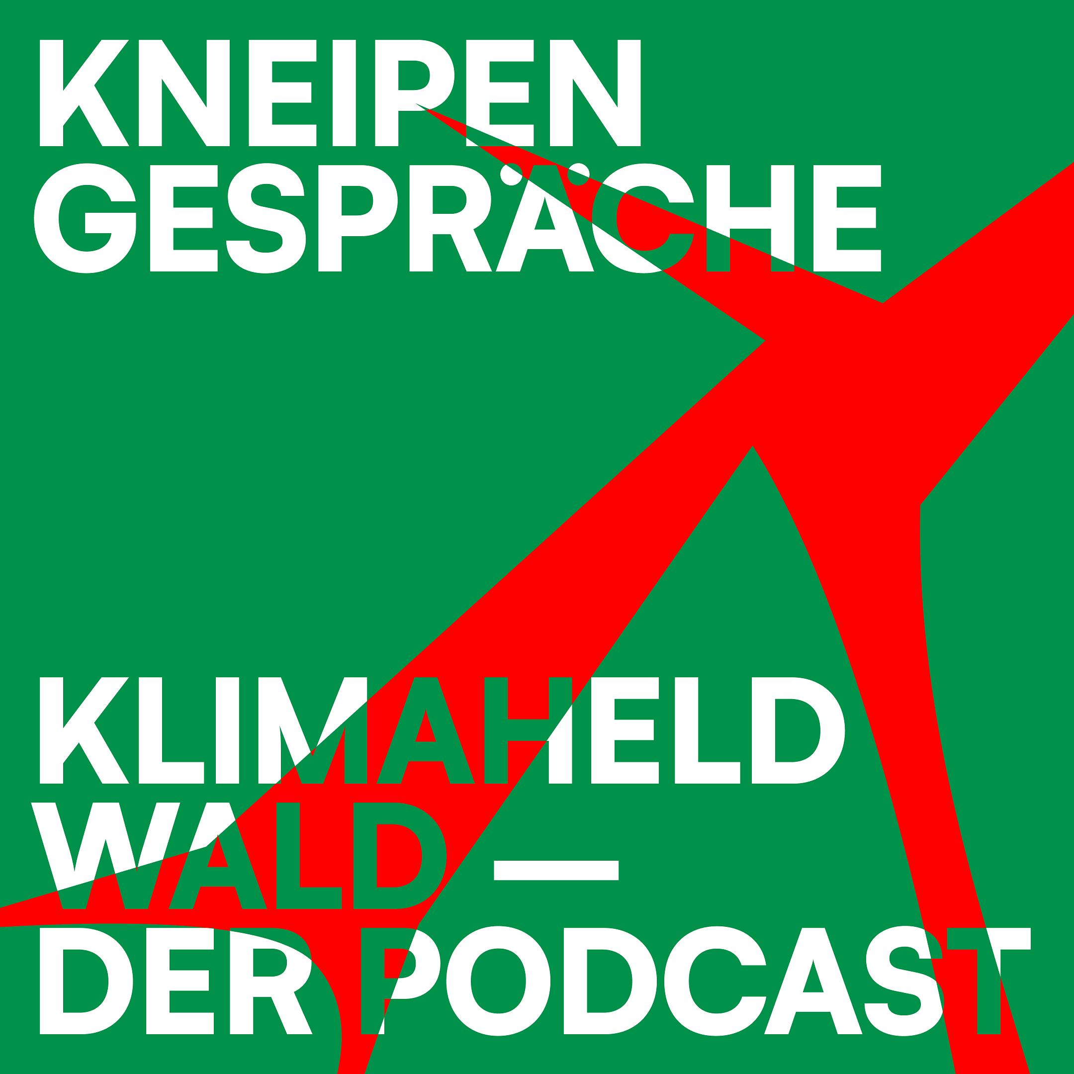 Klimaheld Wald