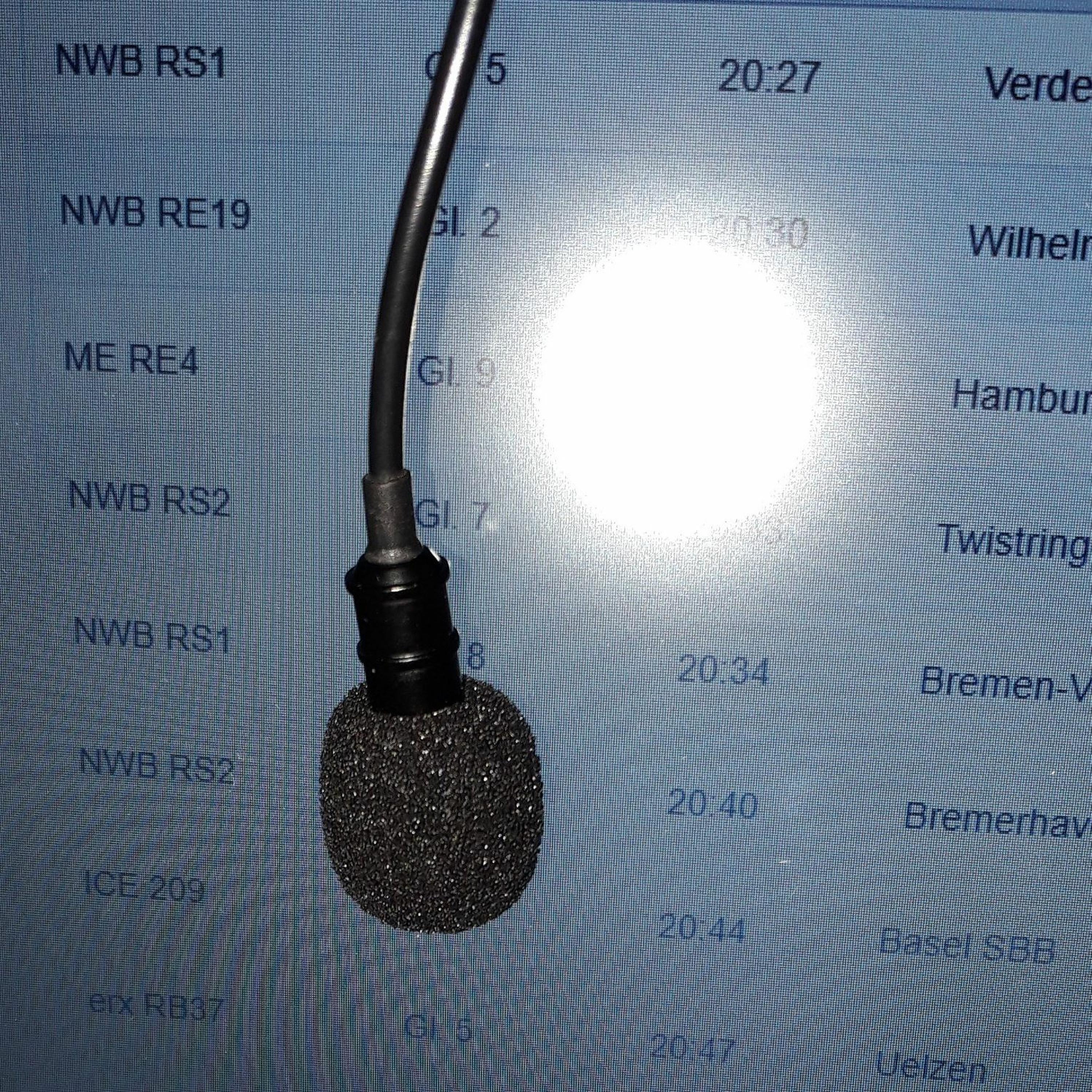 KATZENGOLD. BREMENS MEISTER PODCAST.