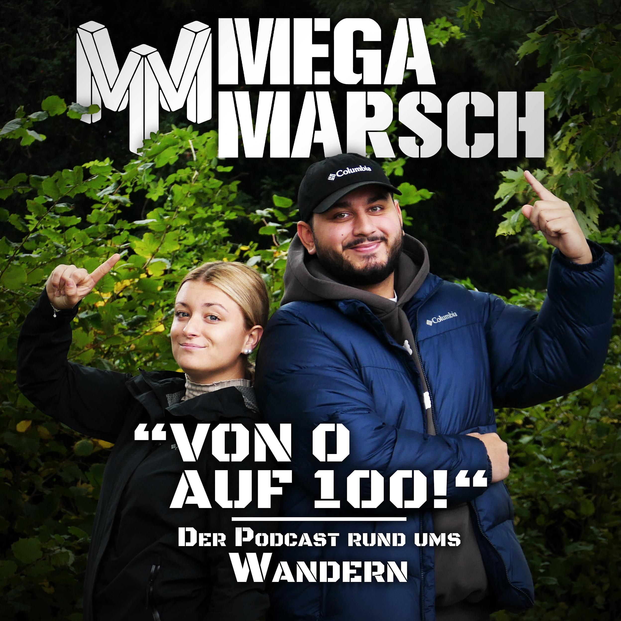 #276 Neujahrsvorsätze episode artwork