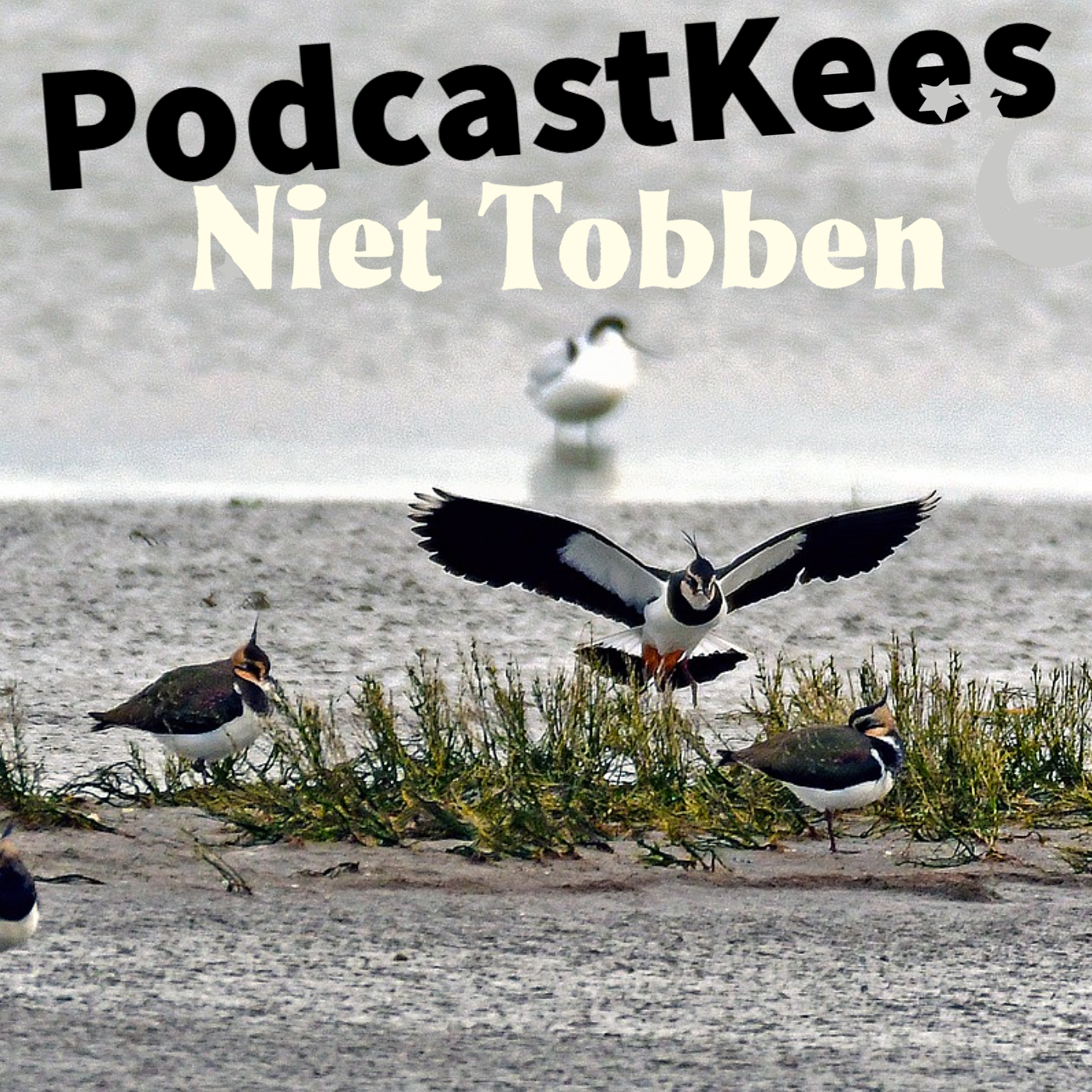 PodcastKees | Niet Tobben