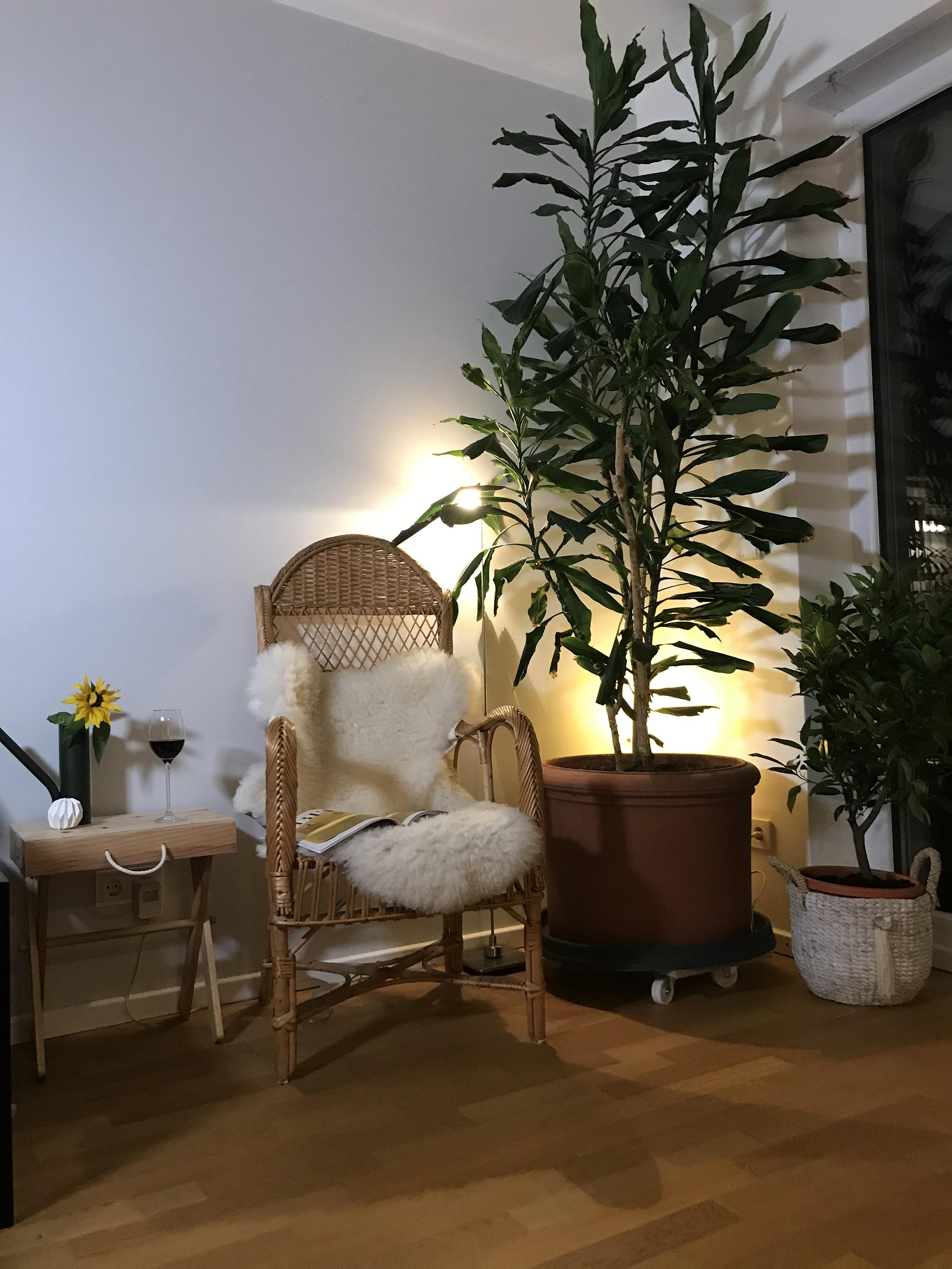Wohnsinn & Raumglück - wir therapieren Räume!