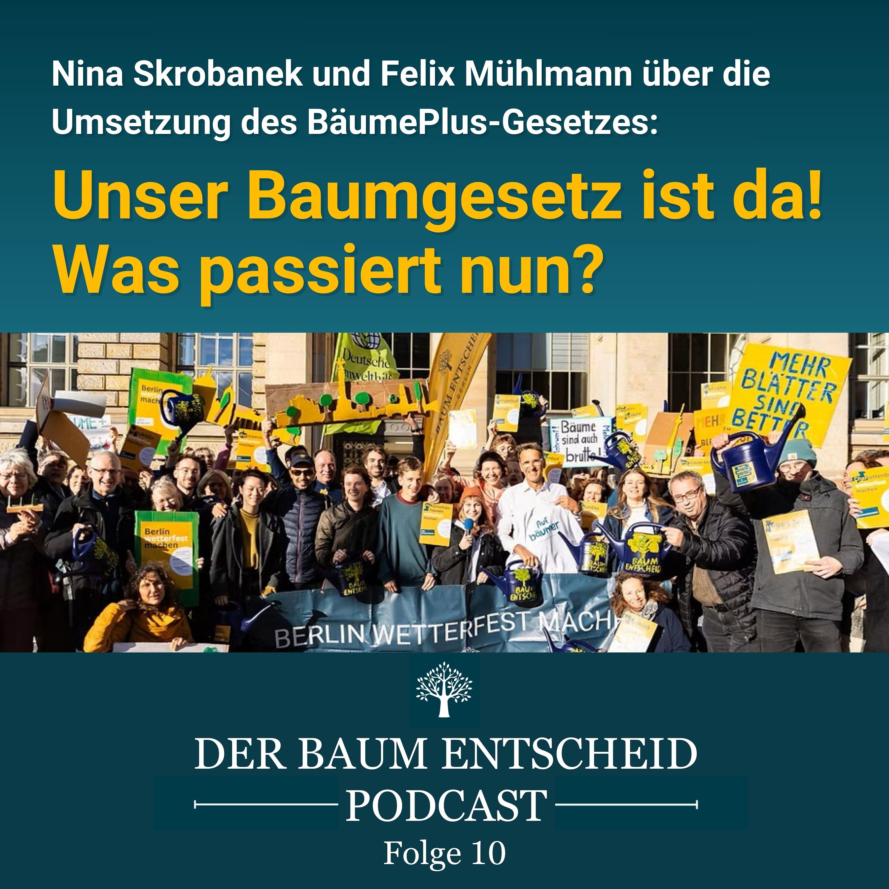 Der BaumEntscheid Podcast