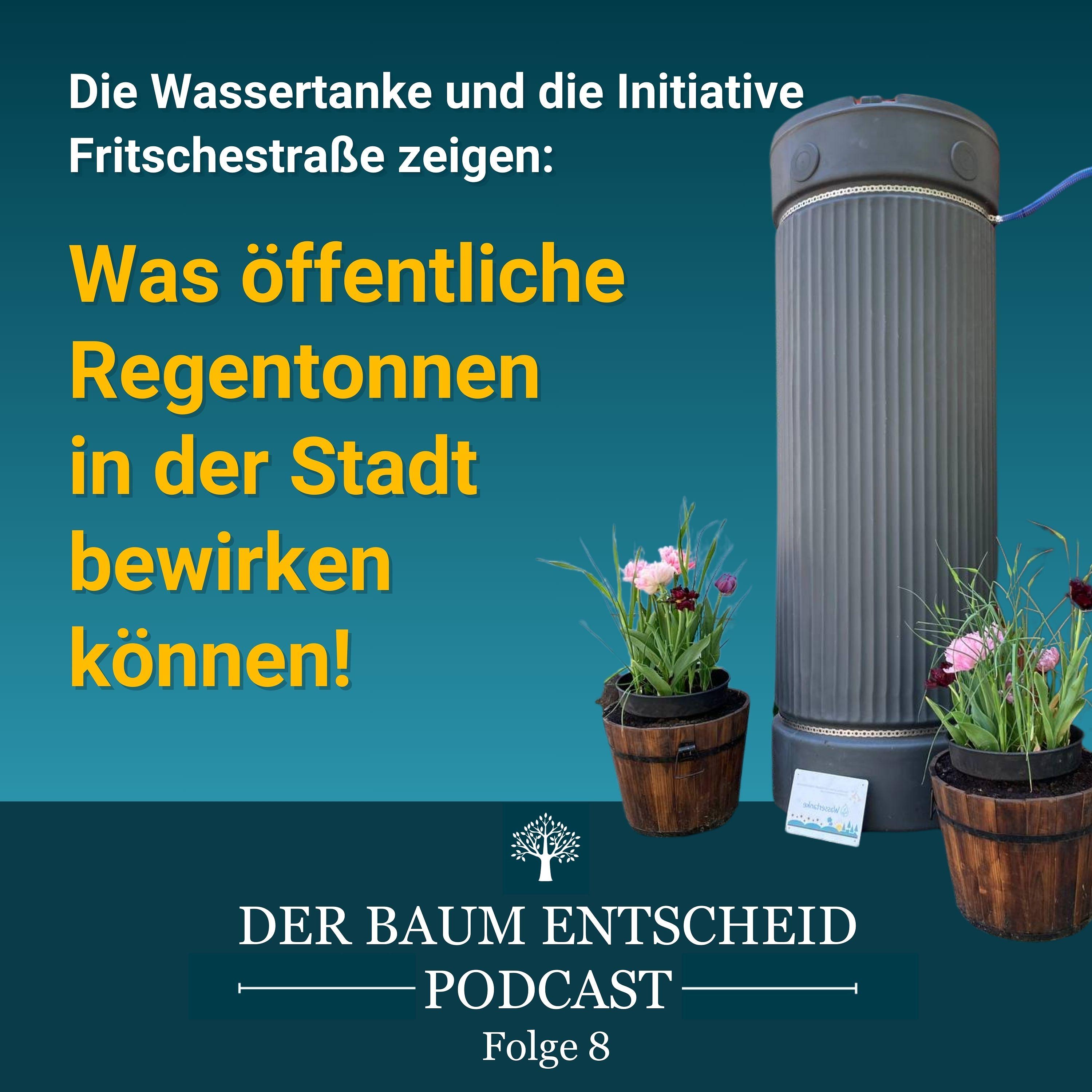 Der BaumEntscheid Podcast