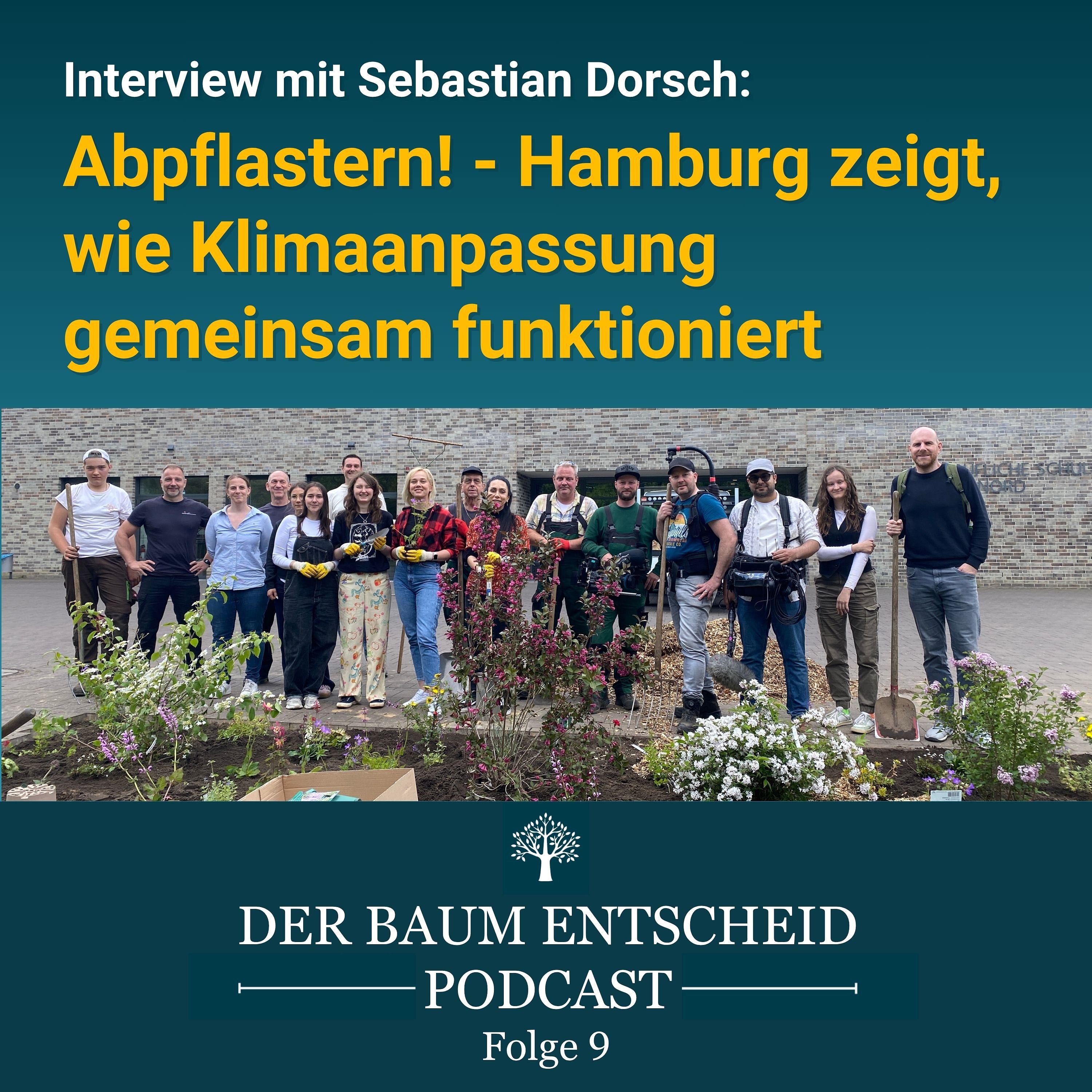 Der BaumEntscheid Podcast
