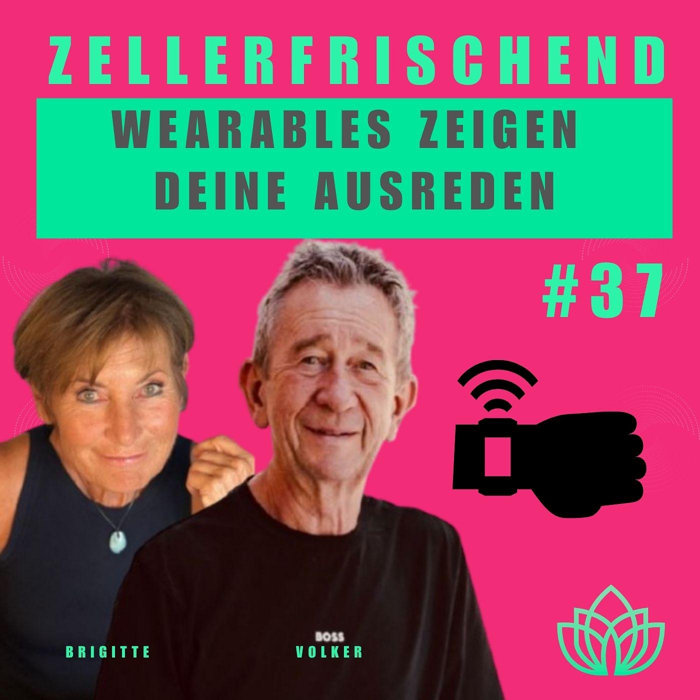 ZELLERFRISCHEND