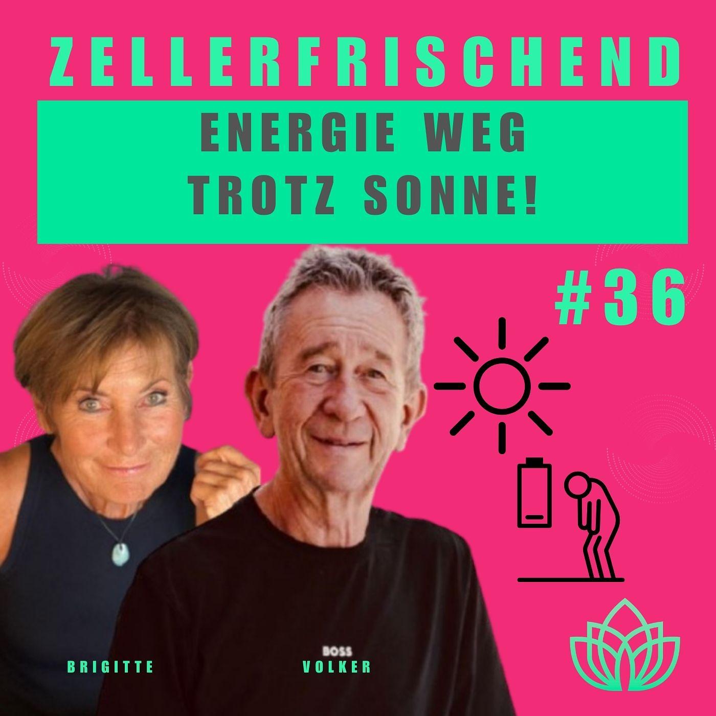 ZELLERFRISCHEND