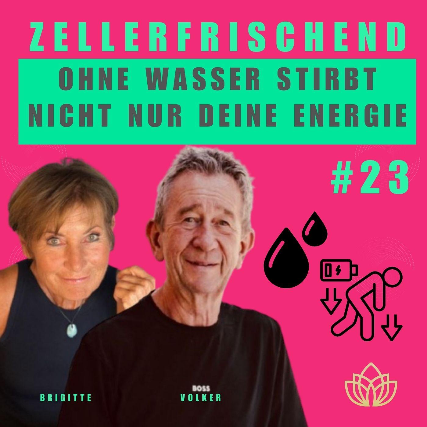 Zellerfrischend - Warum Wasser deine Vitalität steuert - #23 Zellerfrischend - Warum Wasser deine Vitalität steuert - #23