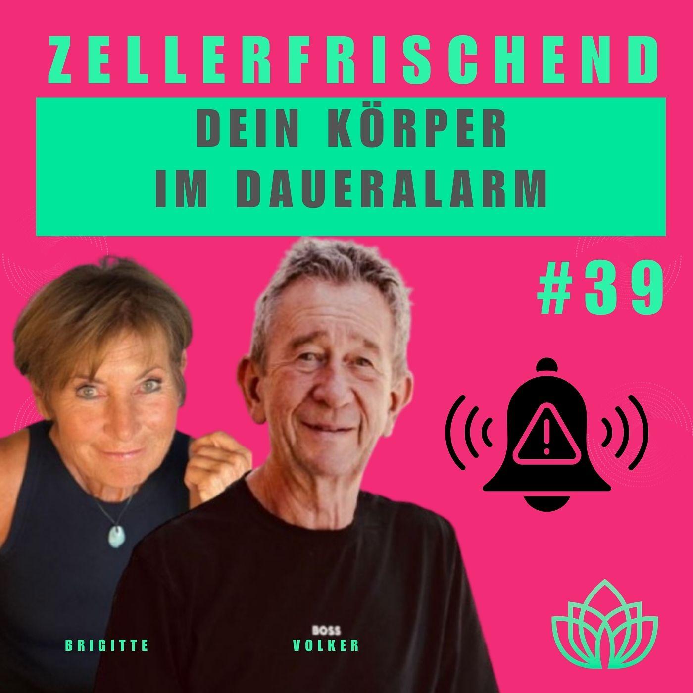 ZELLERFRISCHEND