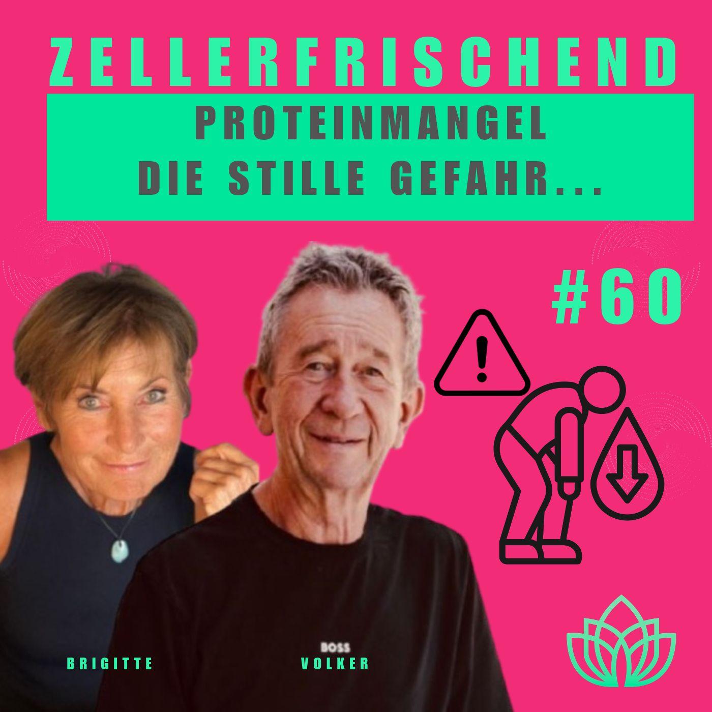 ZELLERFRISCHEND
