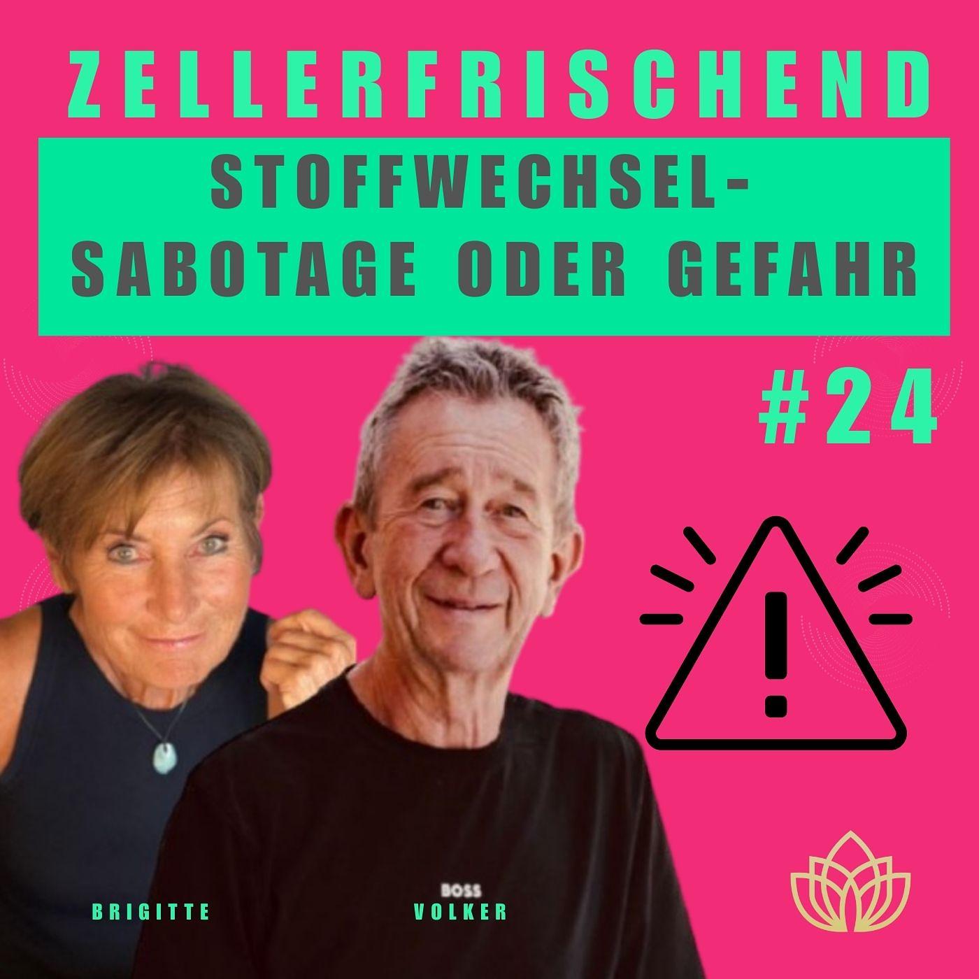 Zellerfrischend - Stoffwechsel – die Basis für deine Energie und Vitalität #24 Zellerfrischend - Stoffwechsel – die Basis für deine Energie und Vitalität #24