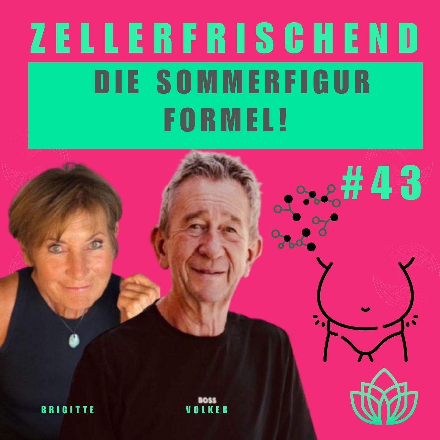 ZELLERFRISCHEND