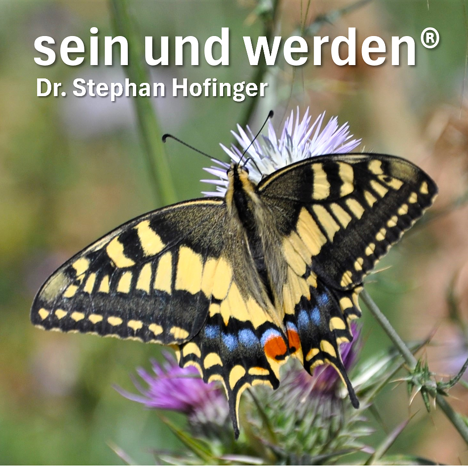 sein und werden