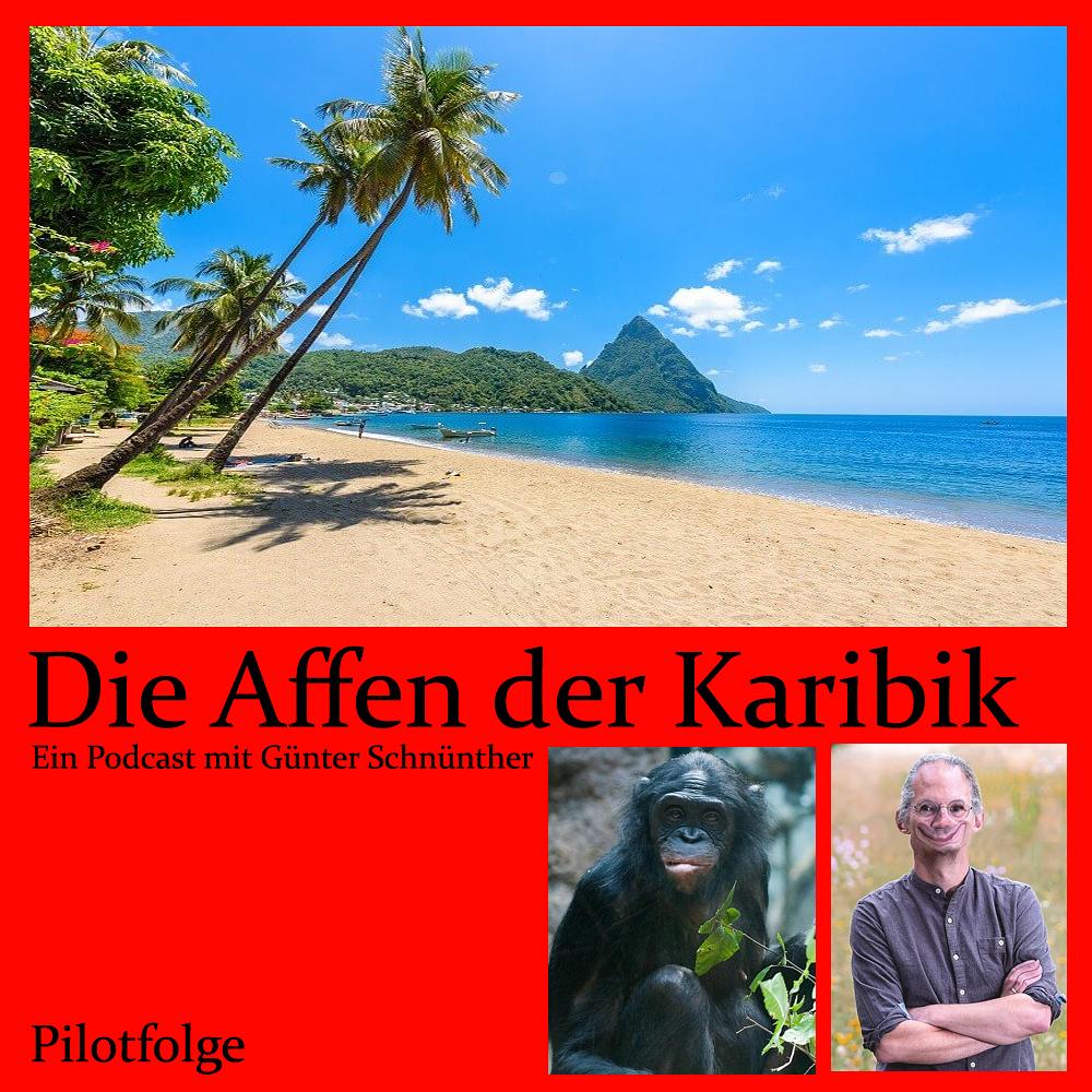 Die Affen der Karibik - Pilotfolge episode artwork