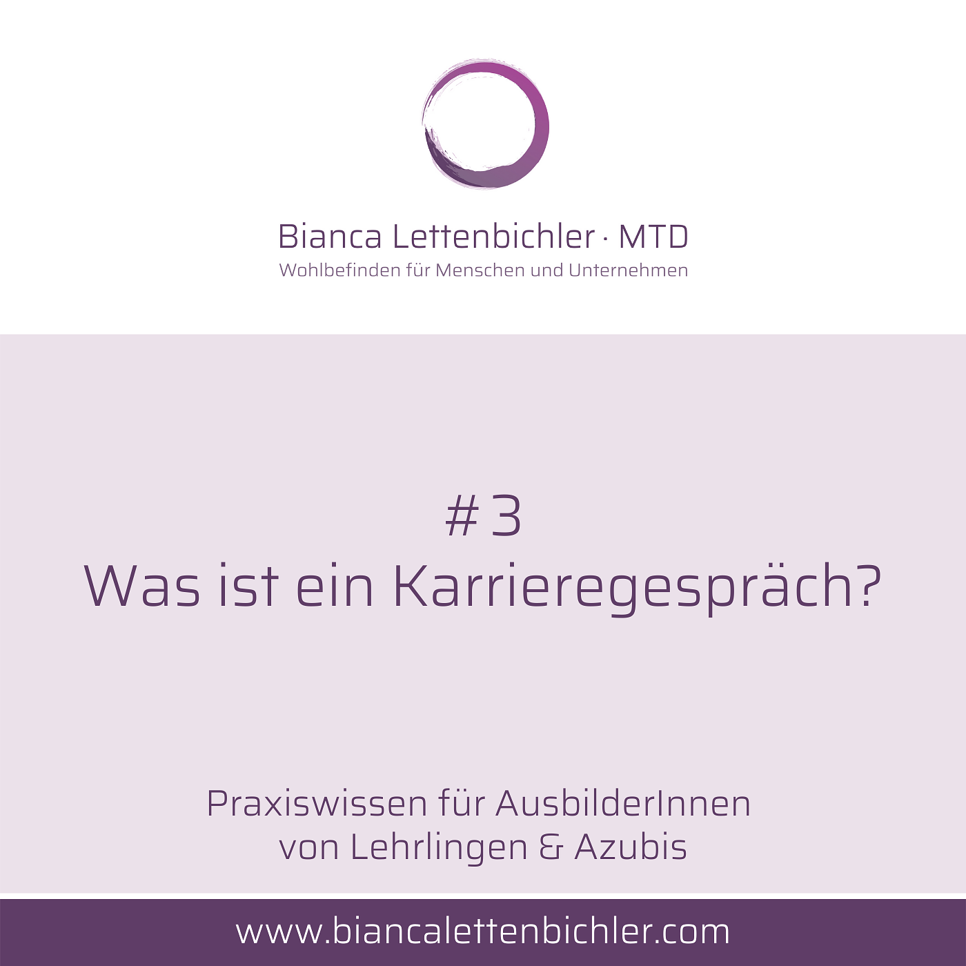 #3 - Was ist ein Karrieregespräch?