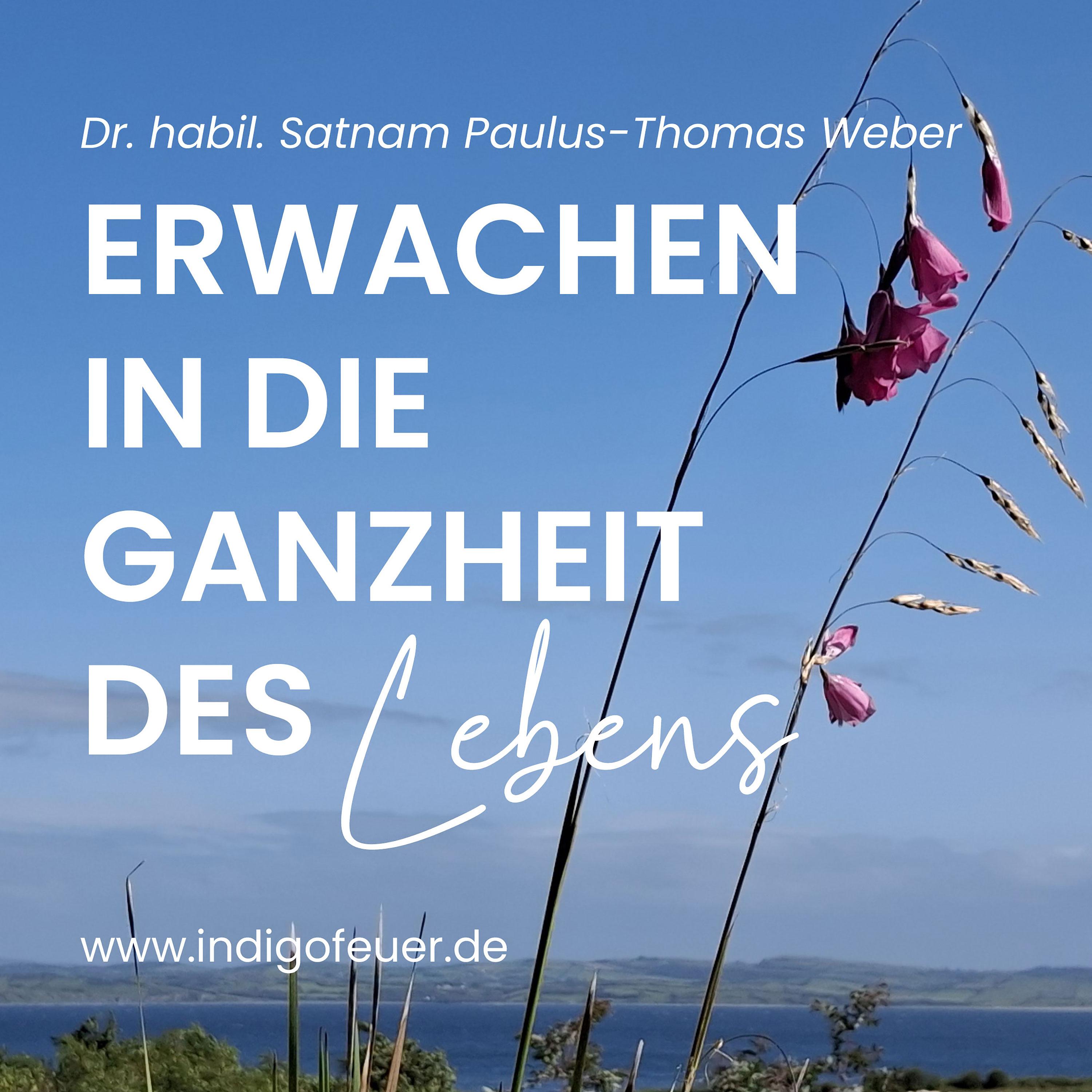 Erwachen in die Ganzheit des Lebens